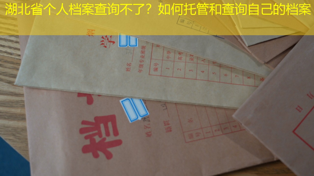 档案查询