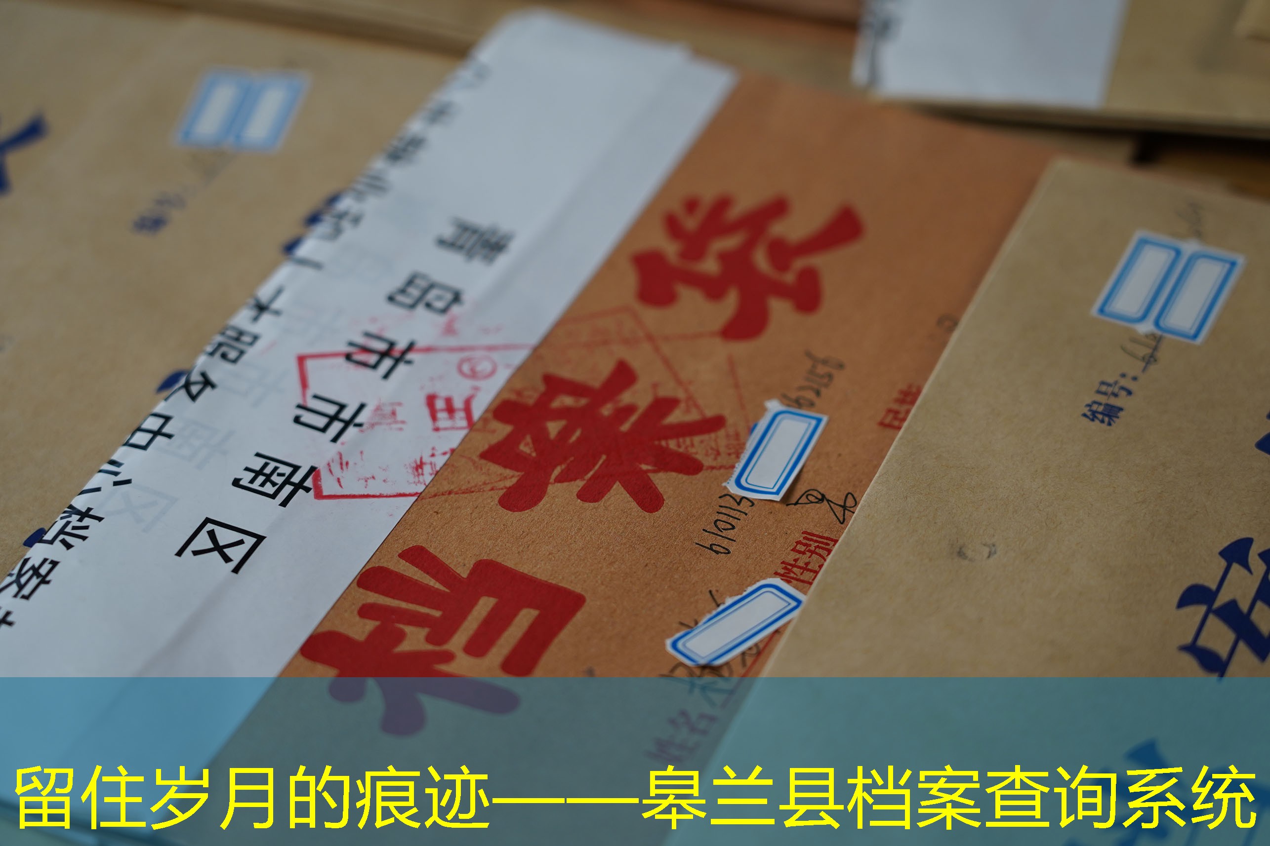 档案查询