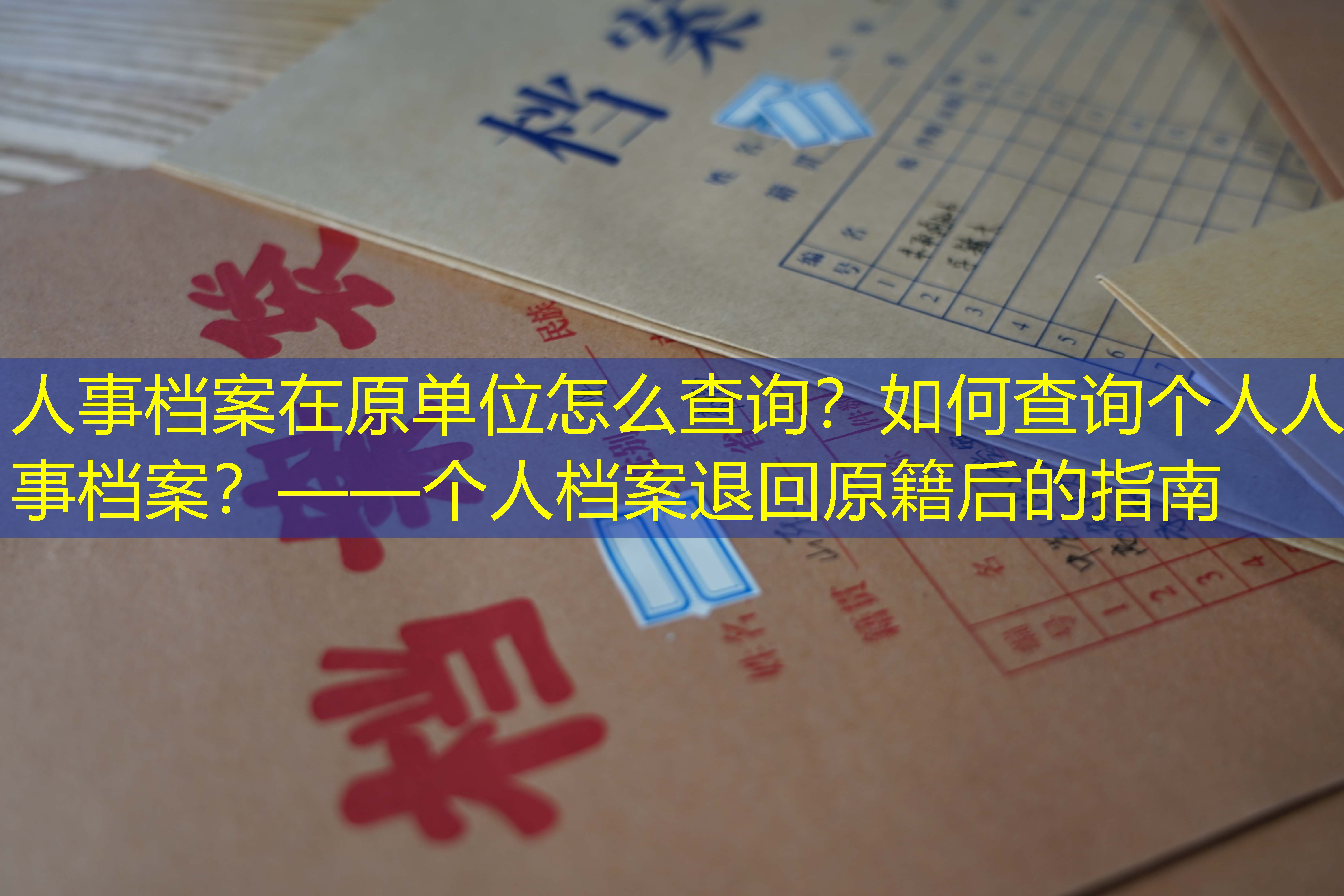 档案查询