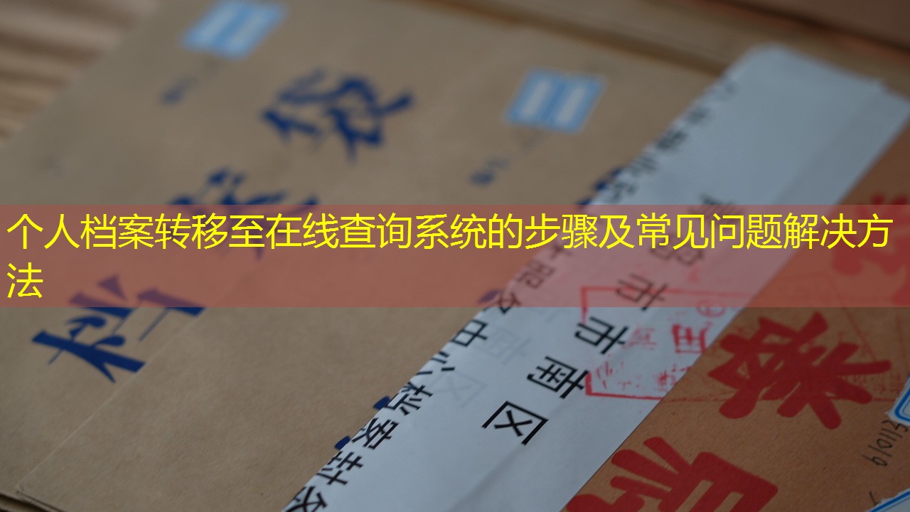档案查询