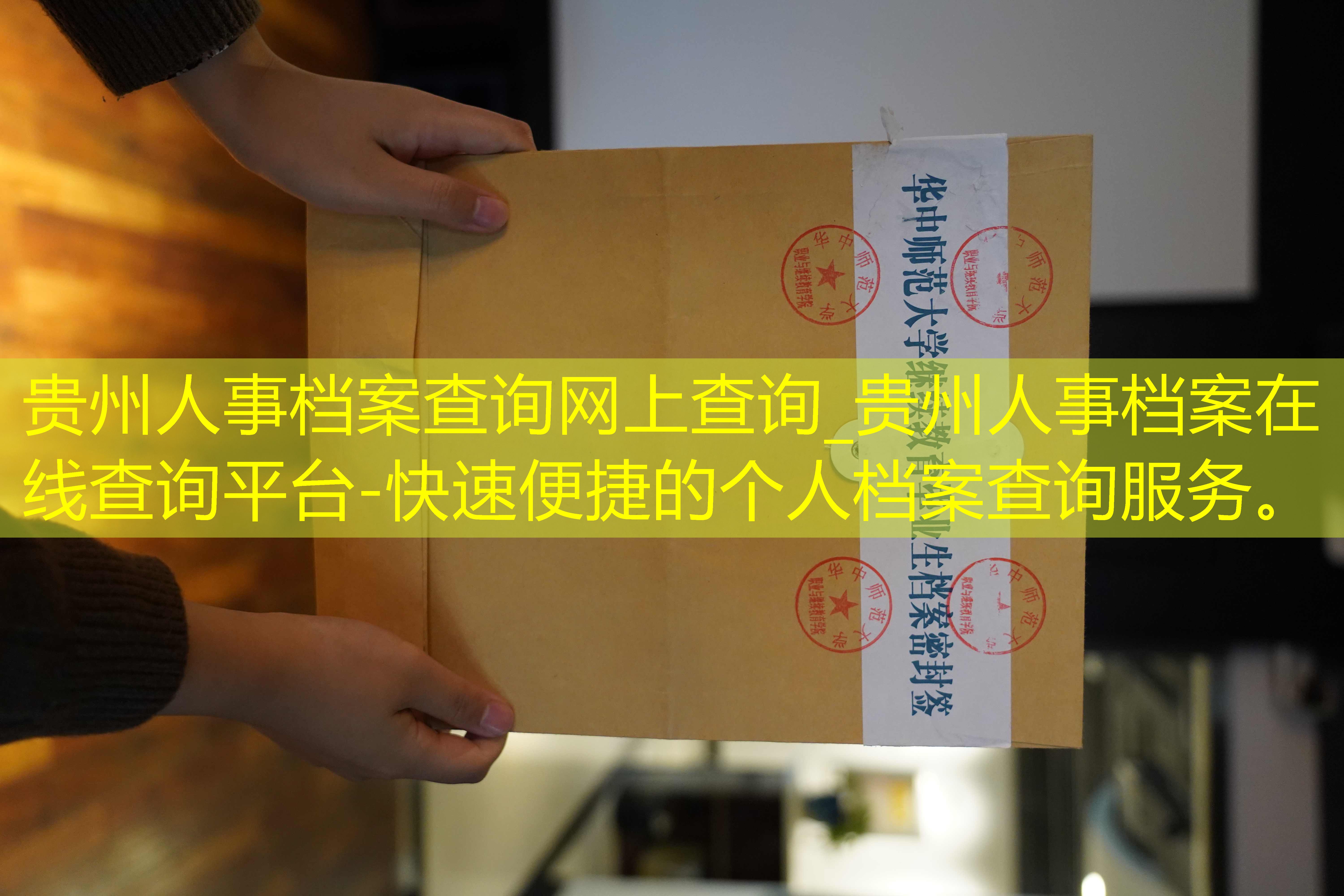 档案查询