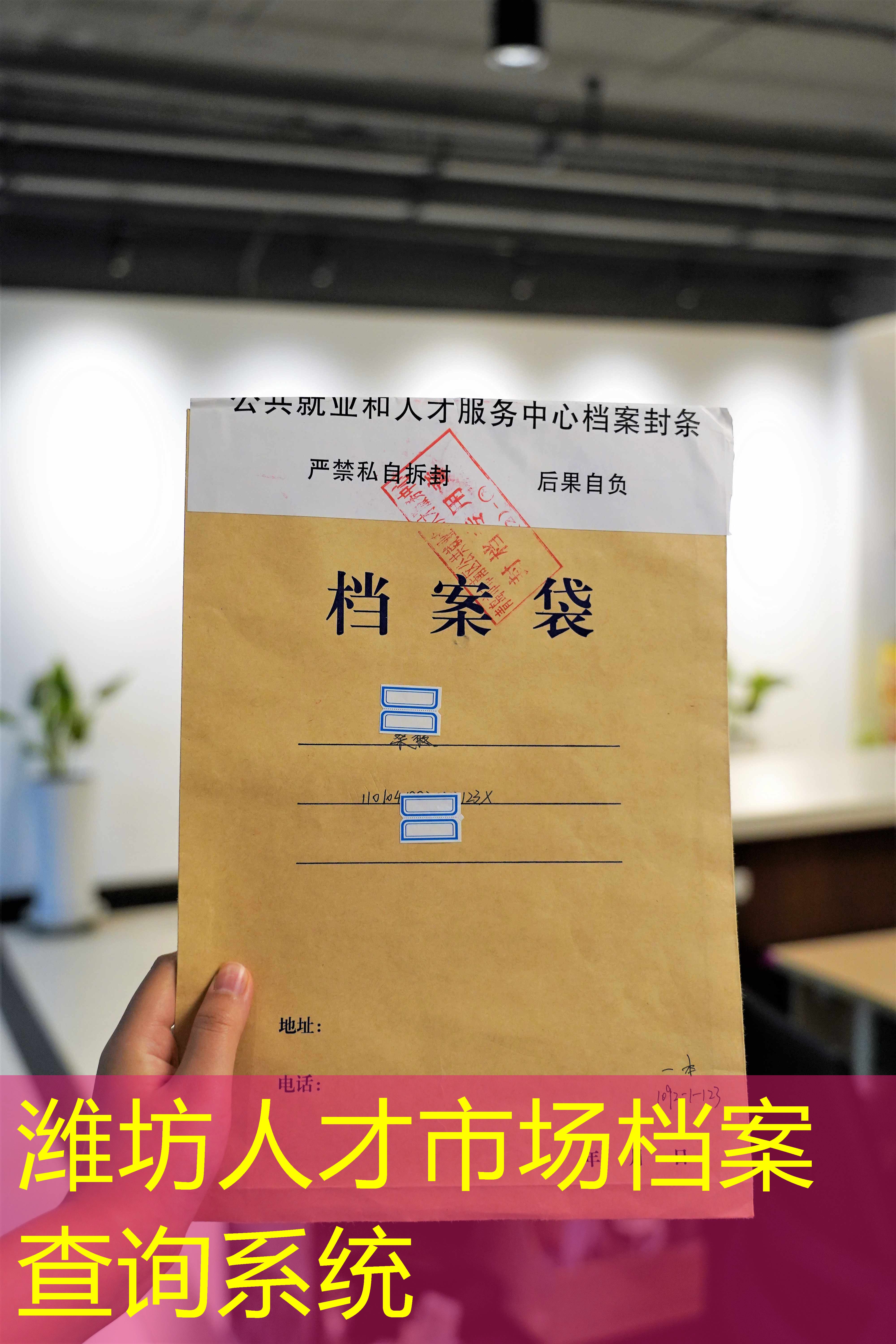 档案查询
