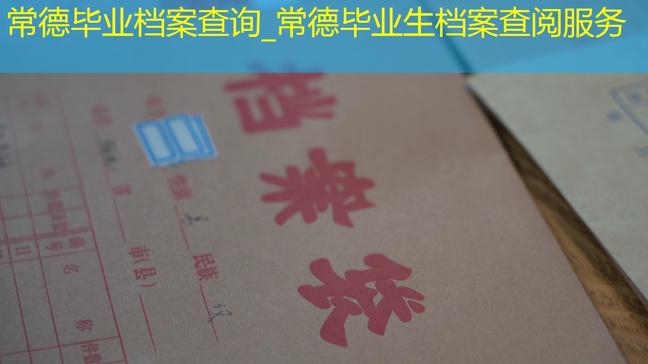 档案查询
