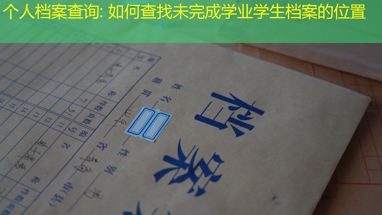 档案查询