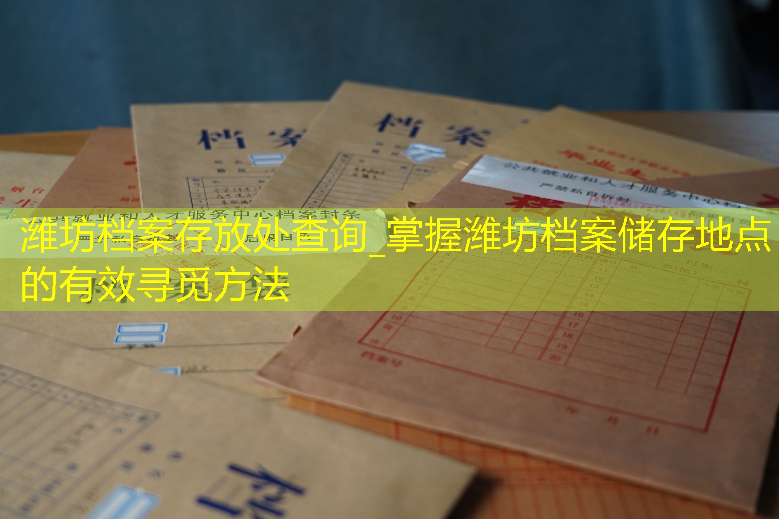 档案查询