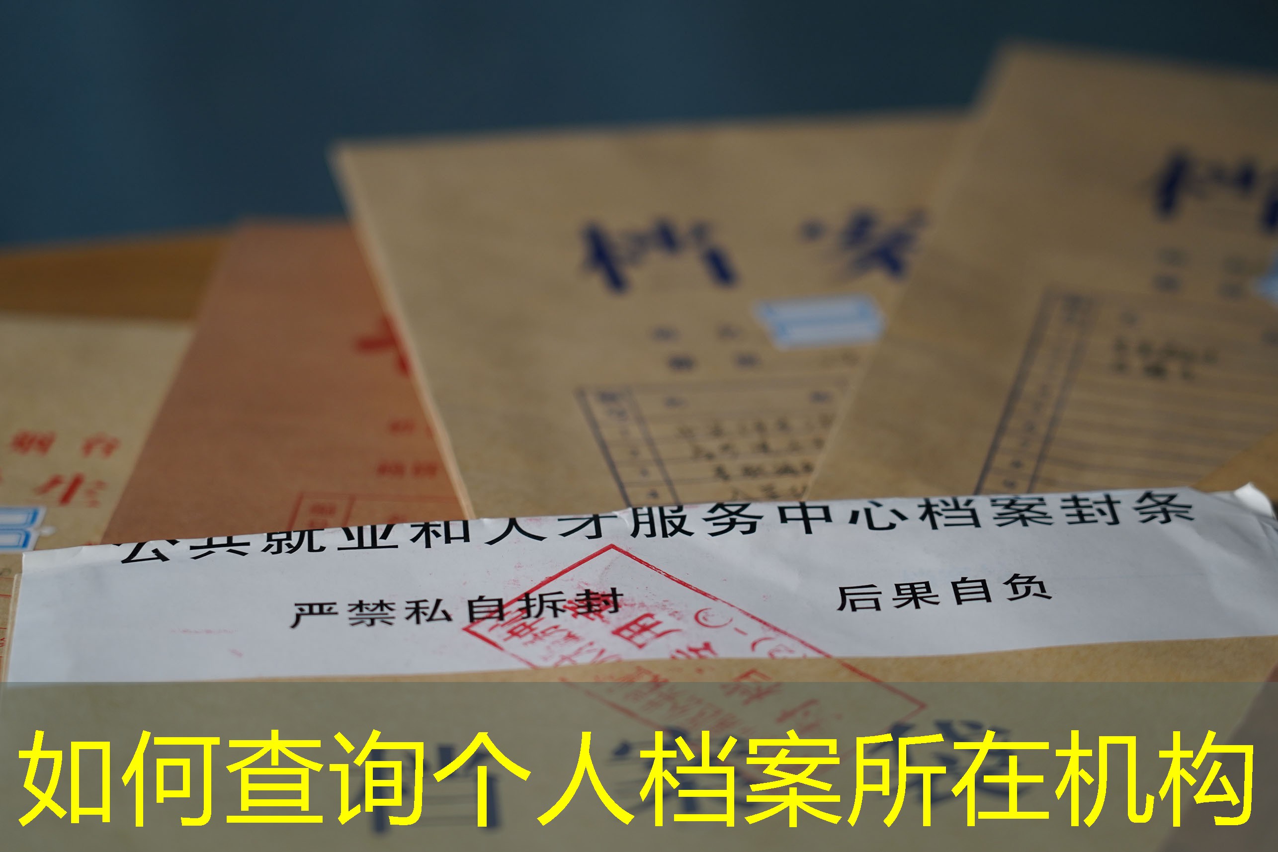 档案查询