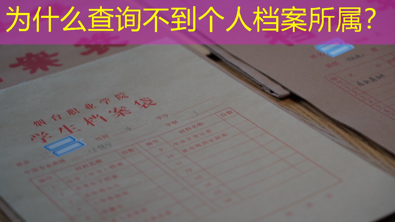 档案查询