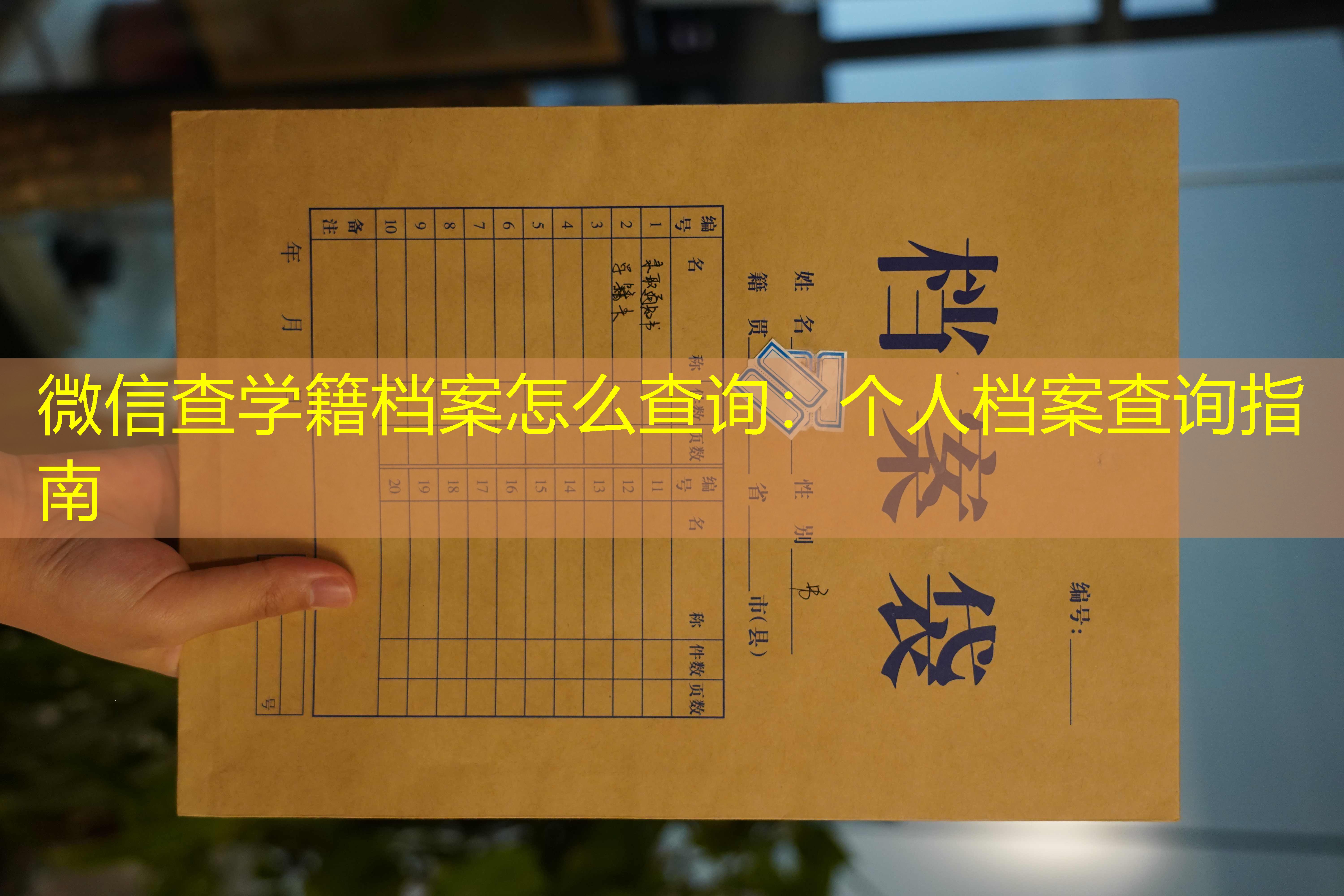档案查询