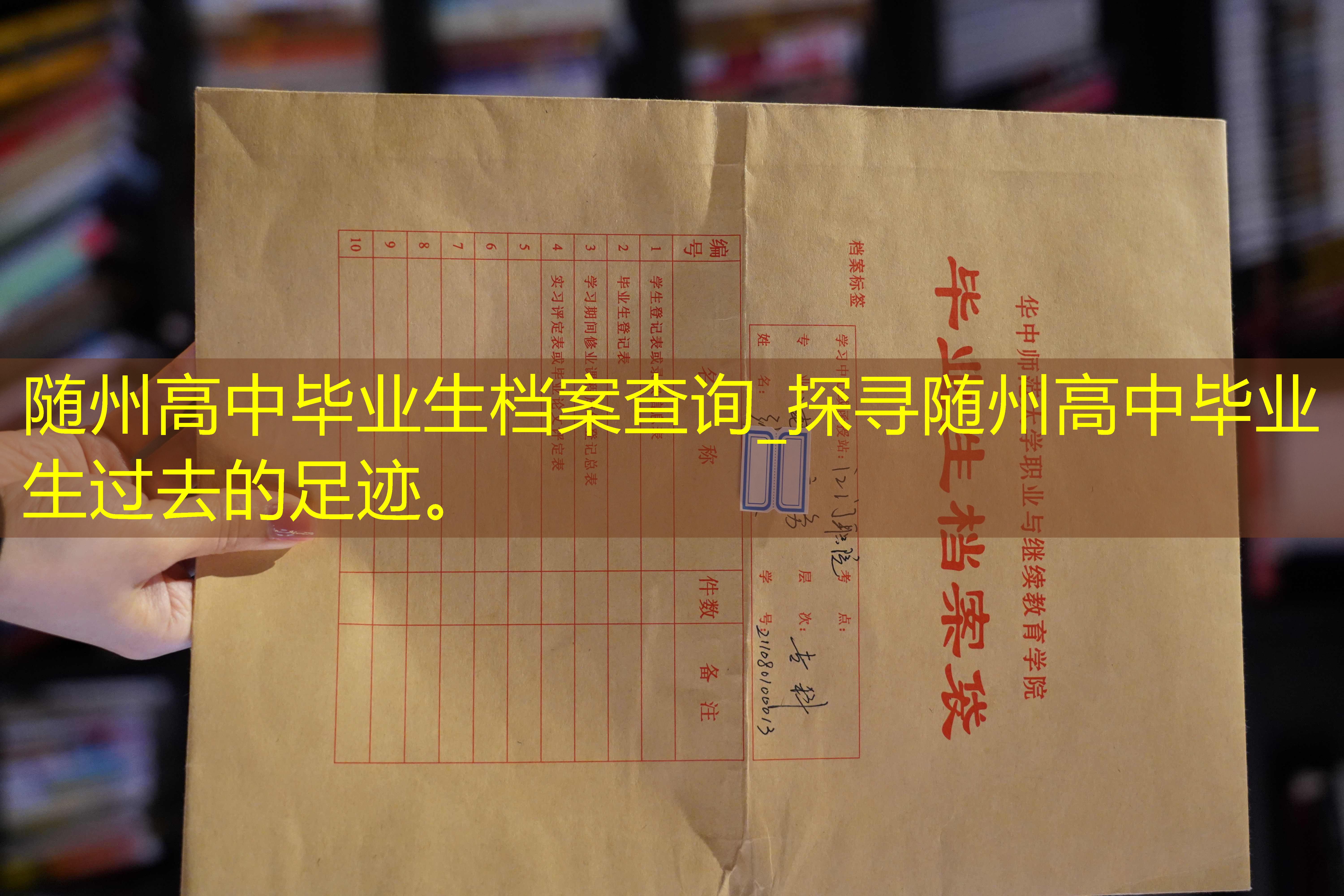 档案查询
