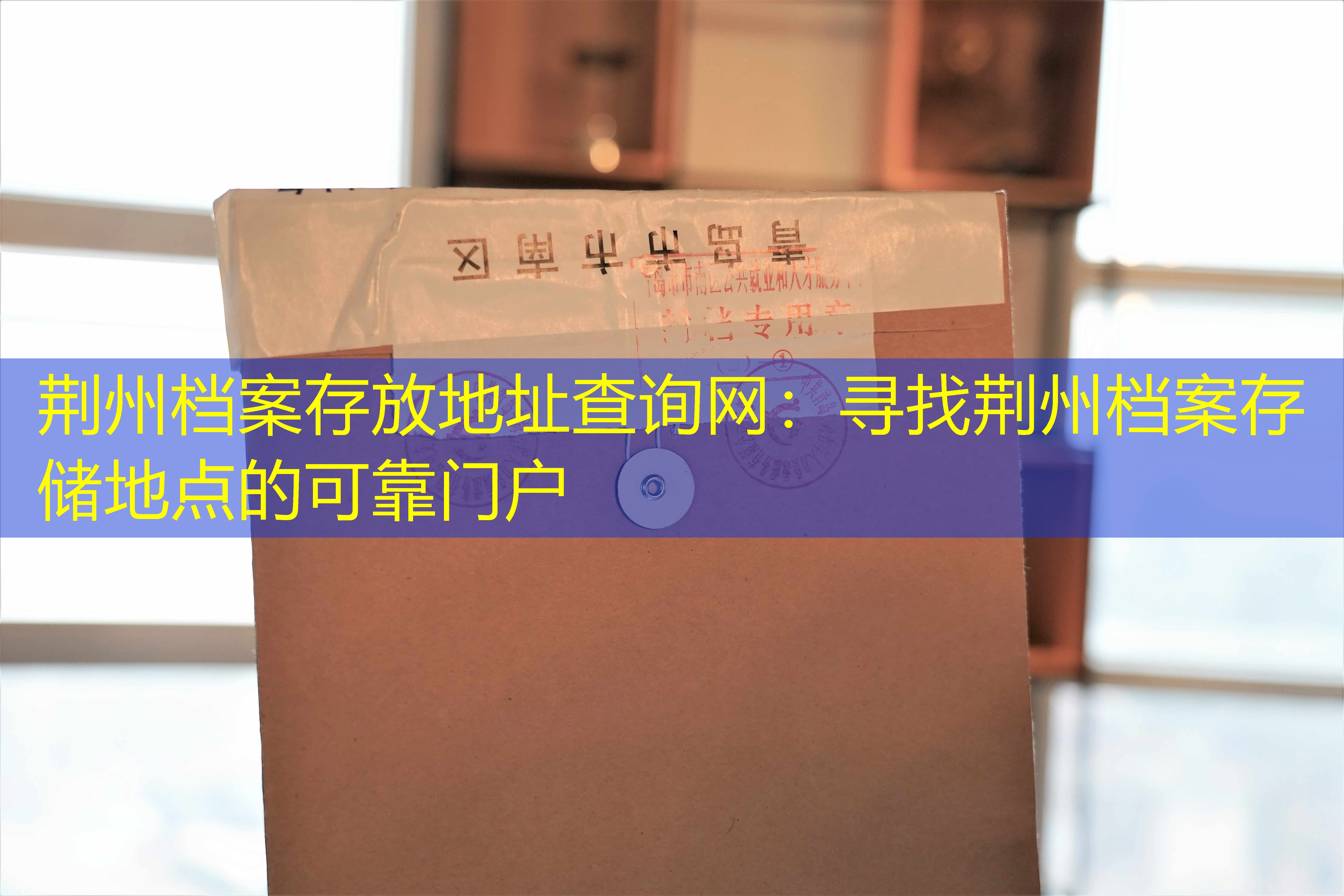 档案查询