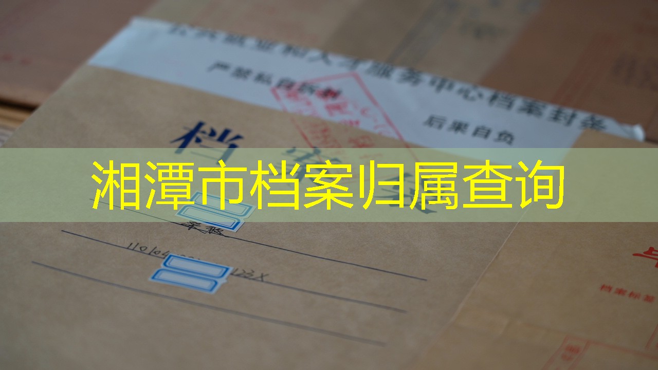 档案查询