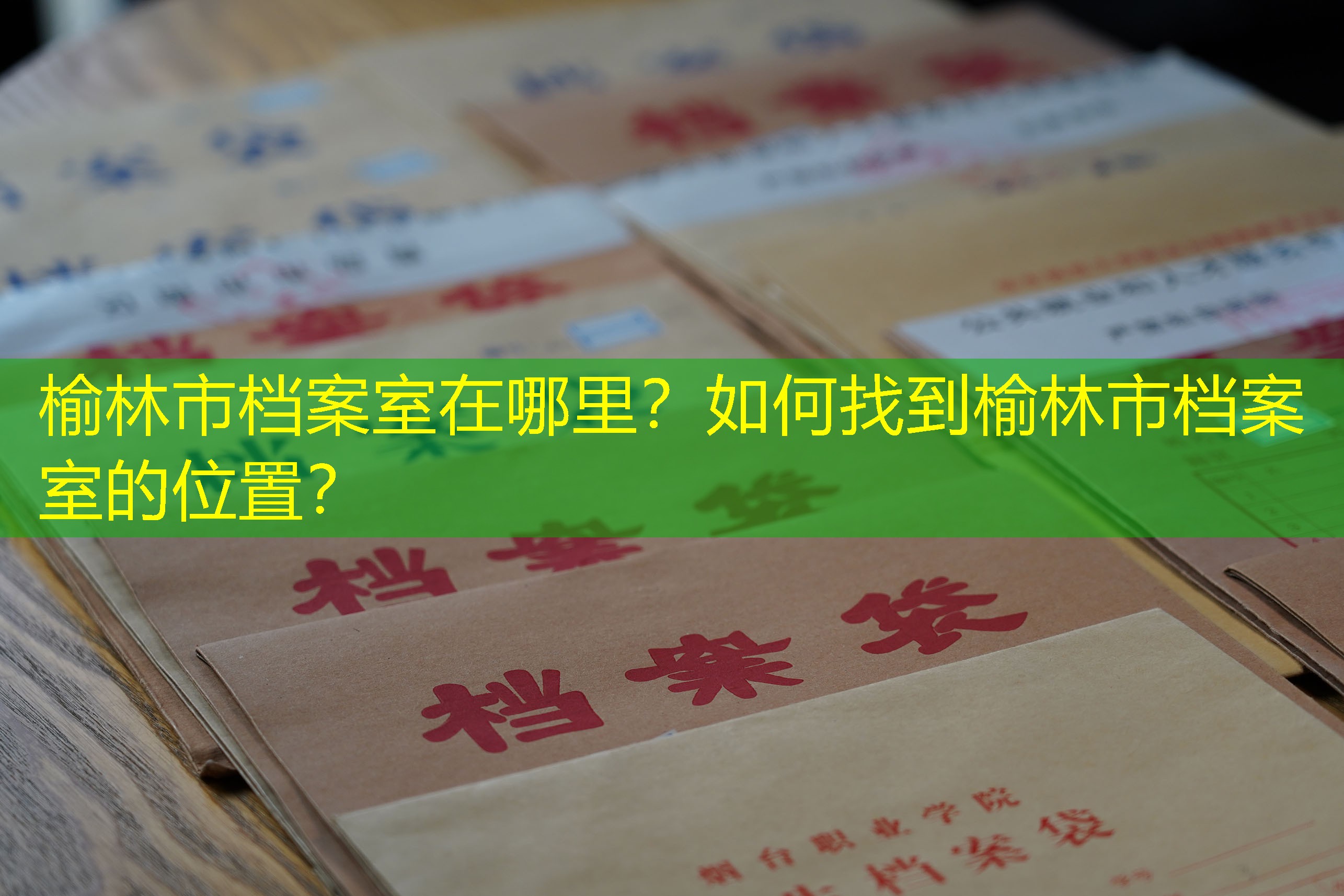 档案查询