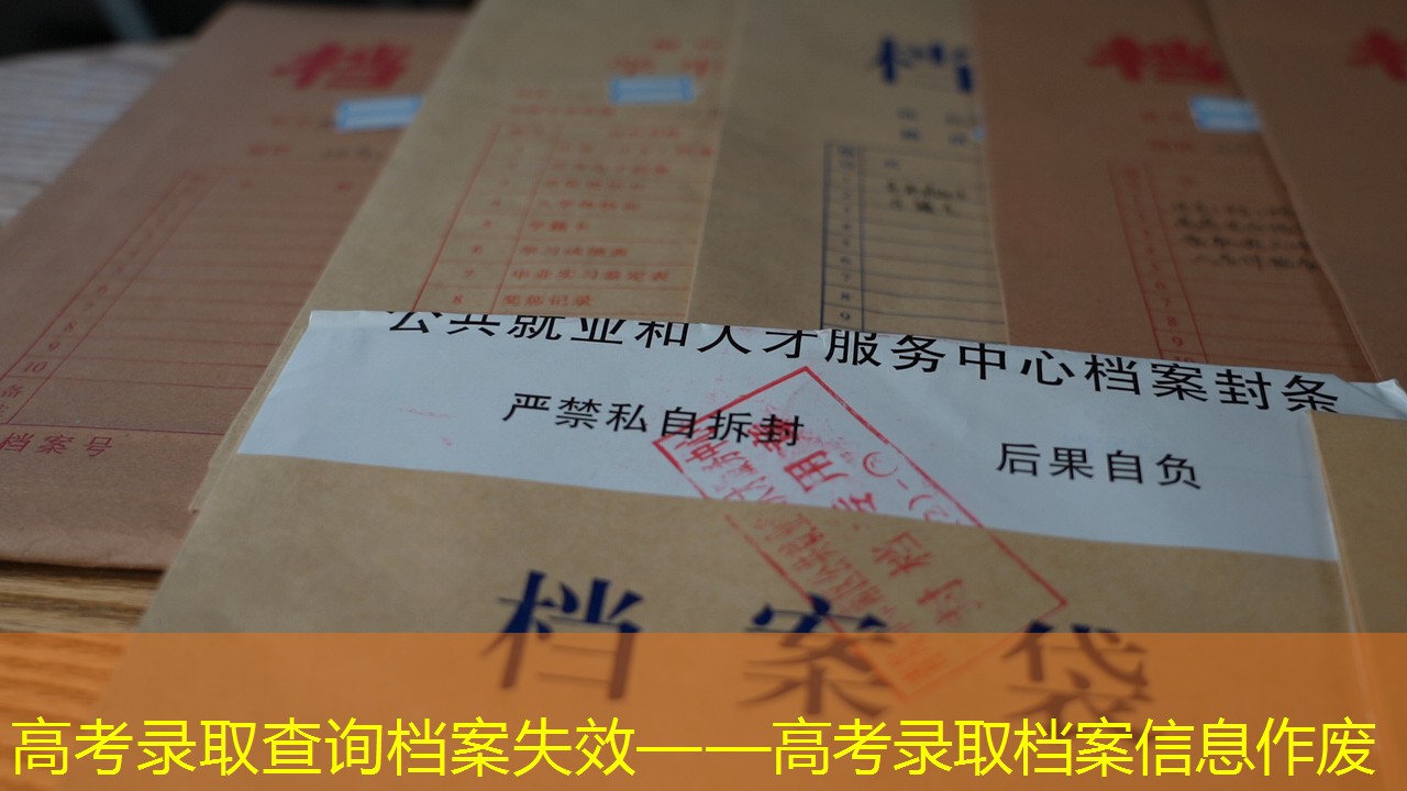 档案查询