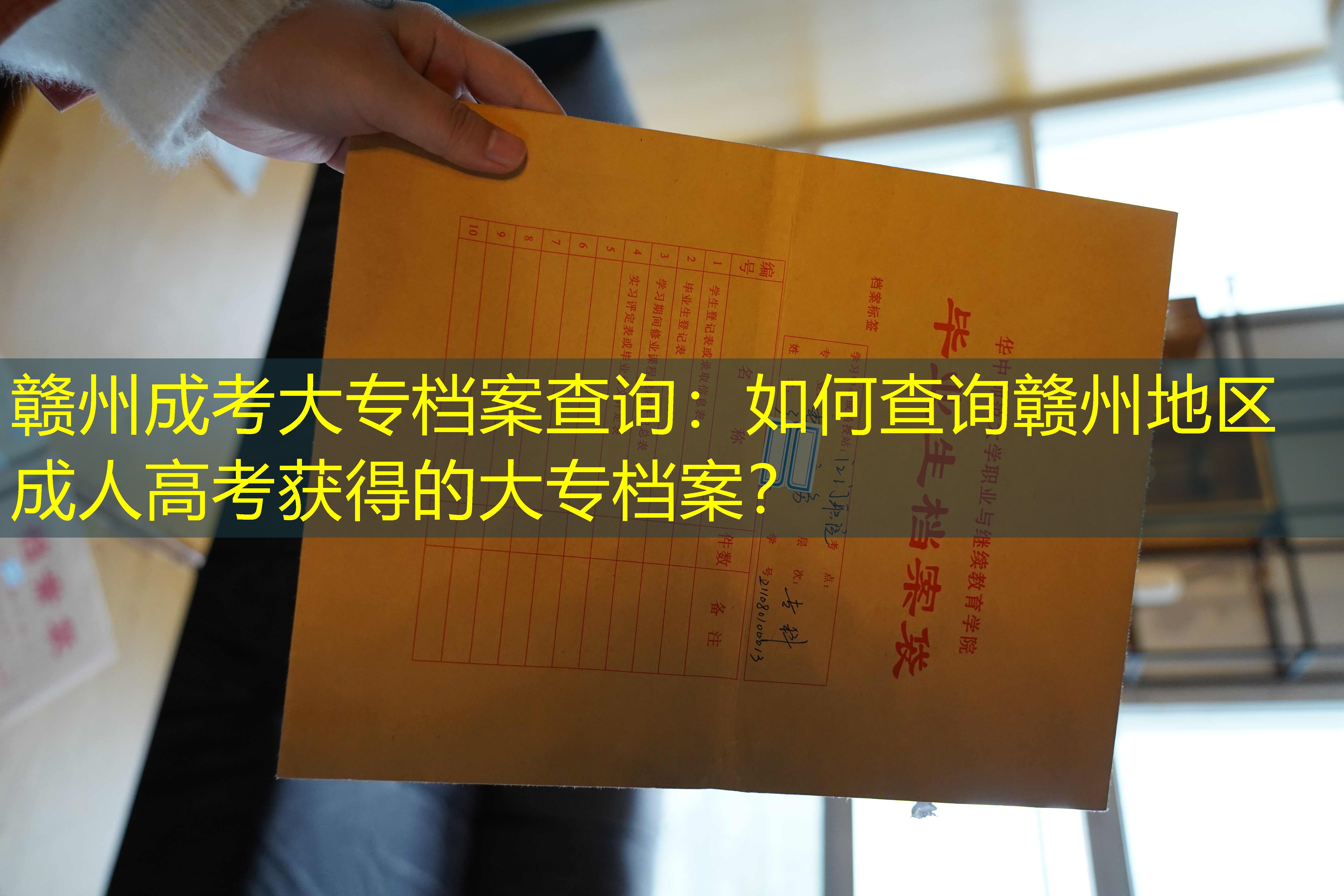 档案查询
