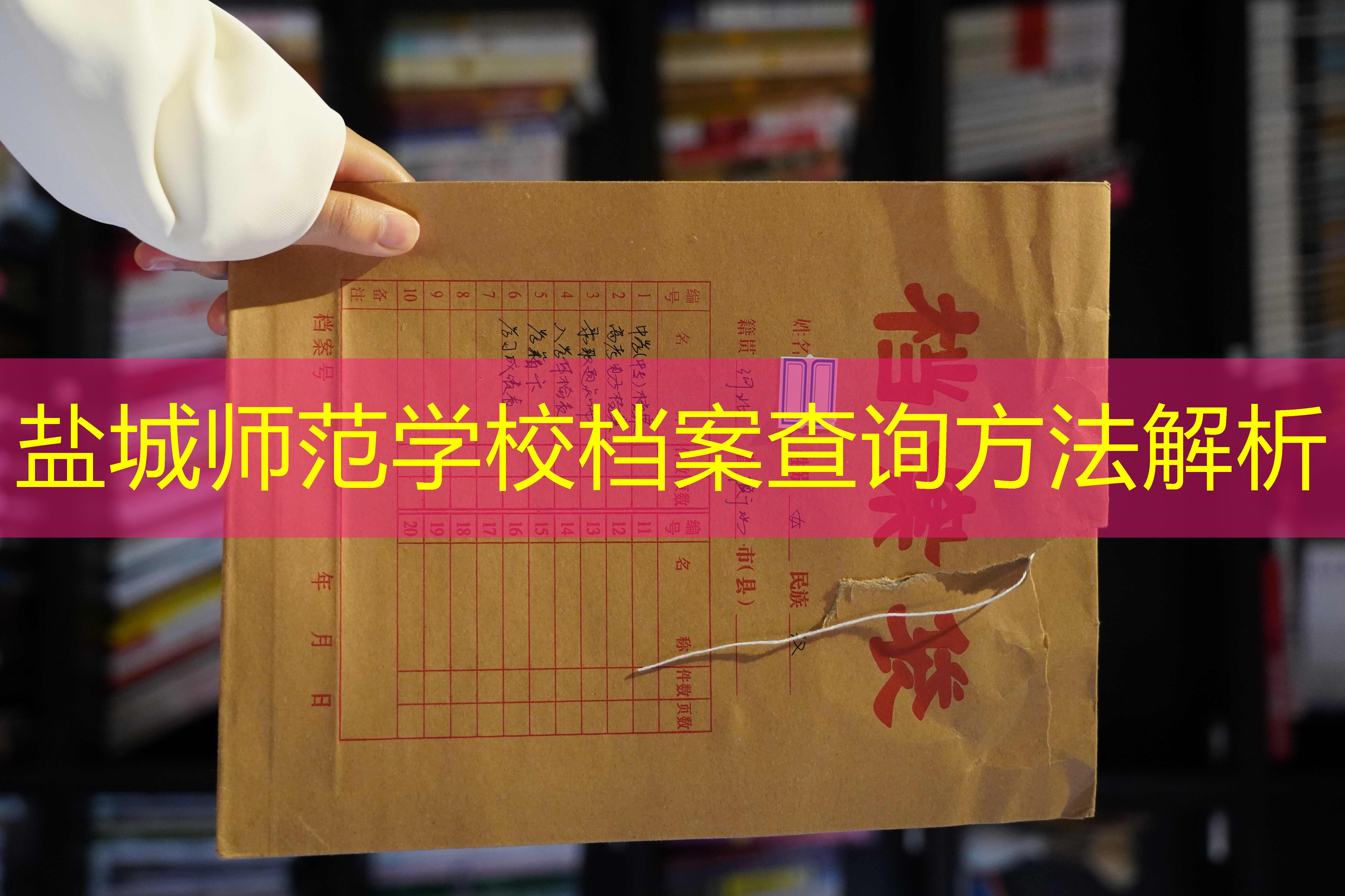 档案查询