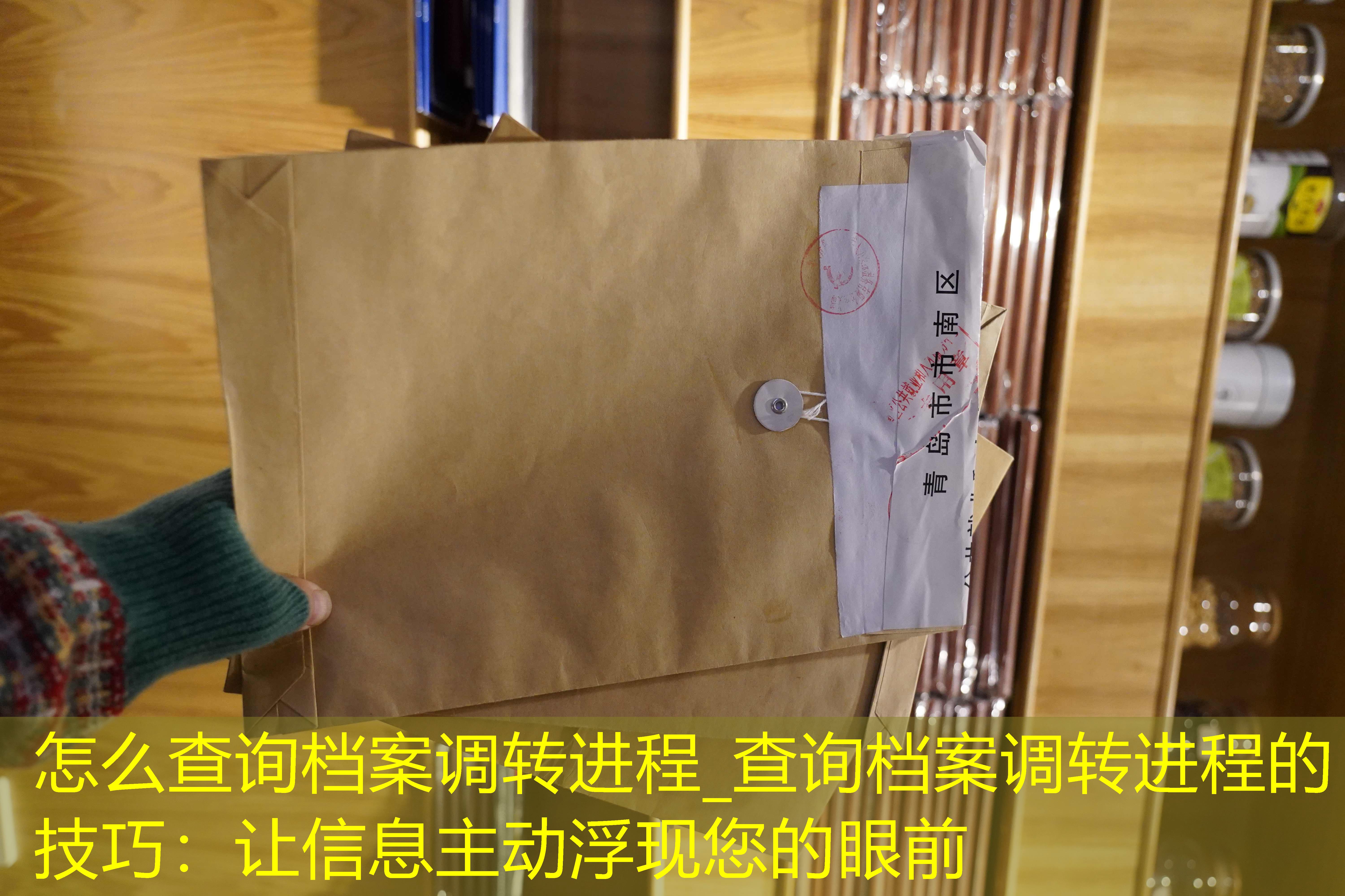 档案查询