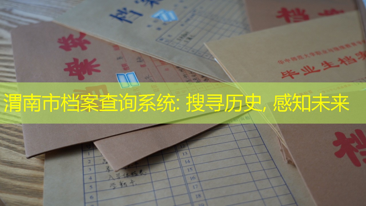 档案查询