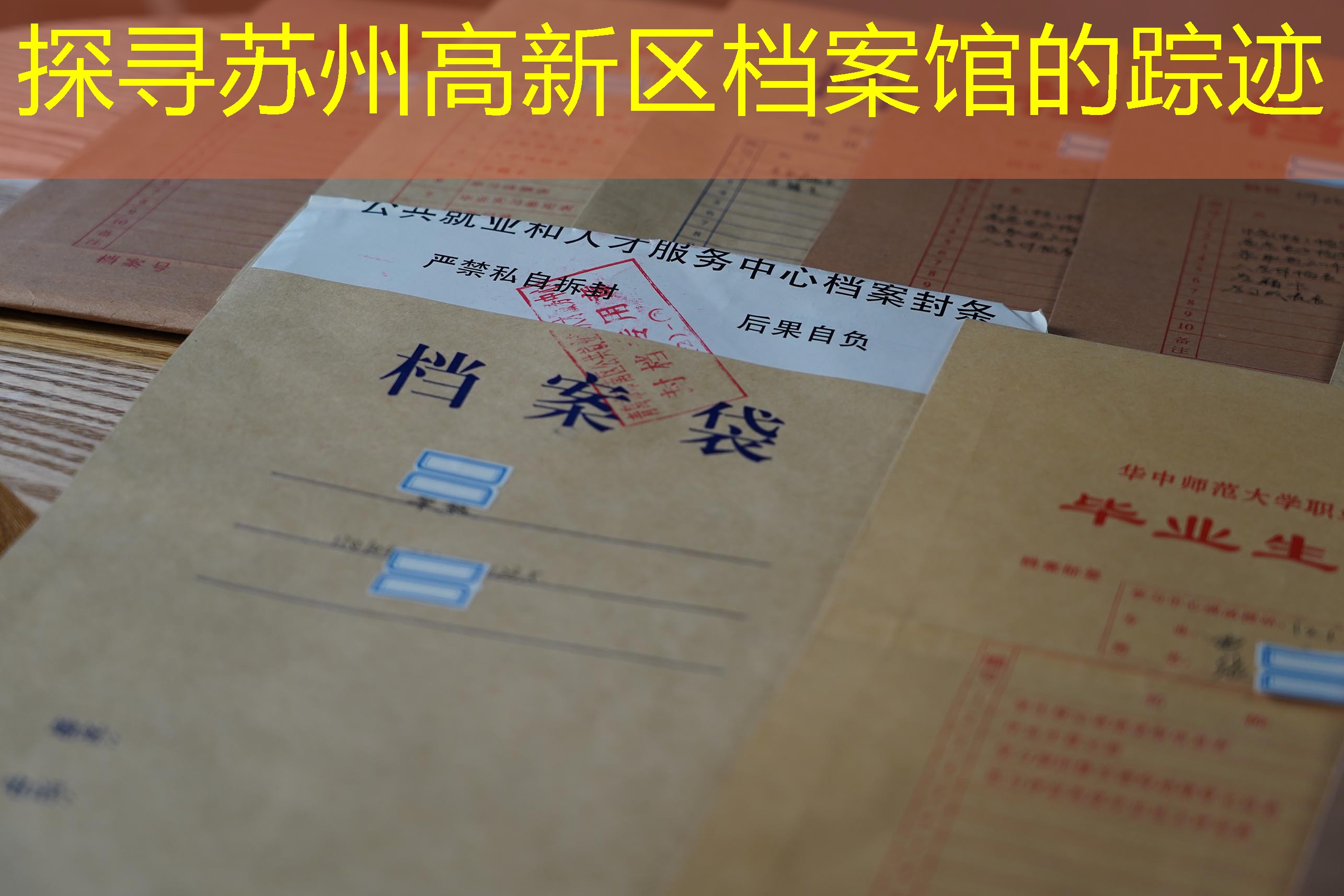 档案查询