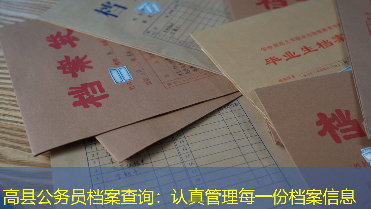 档案查询
