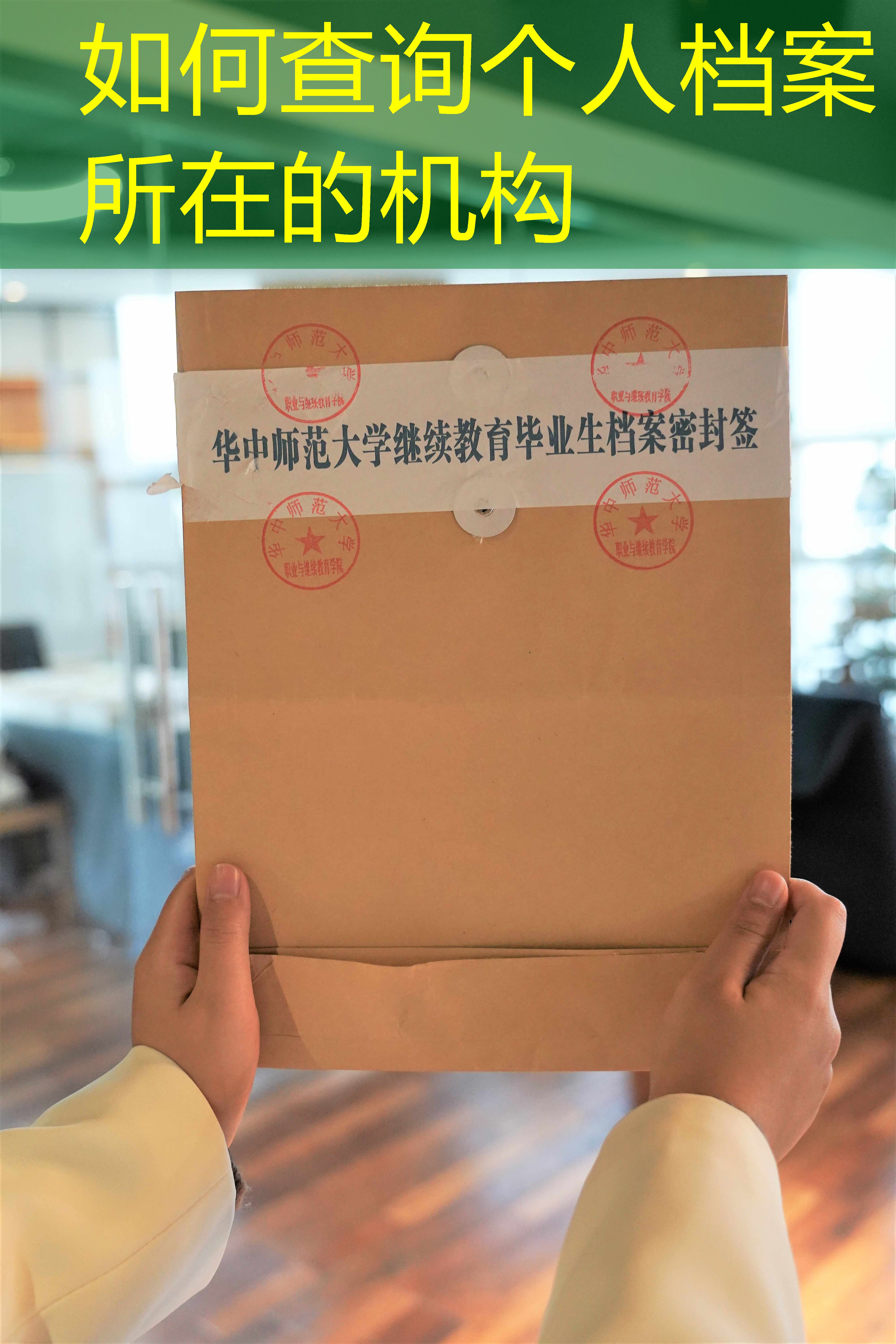 档案查询