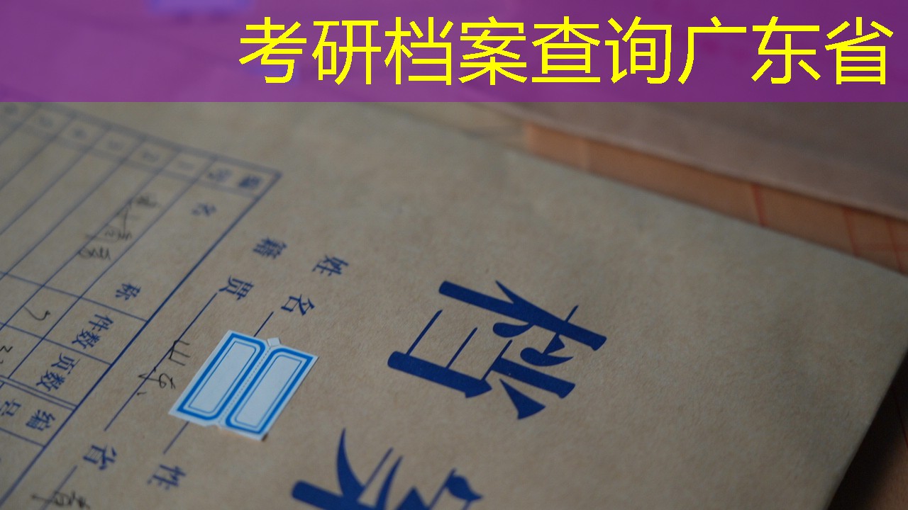 档案查询