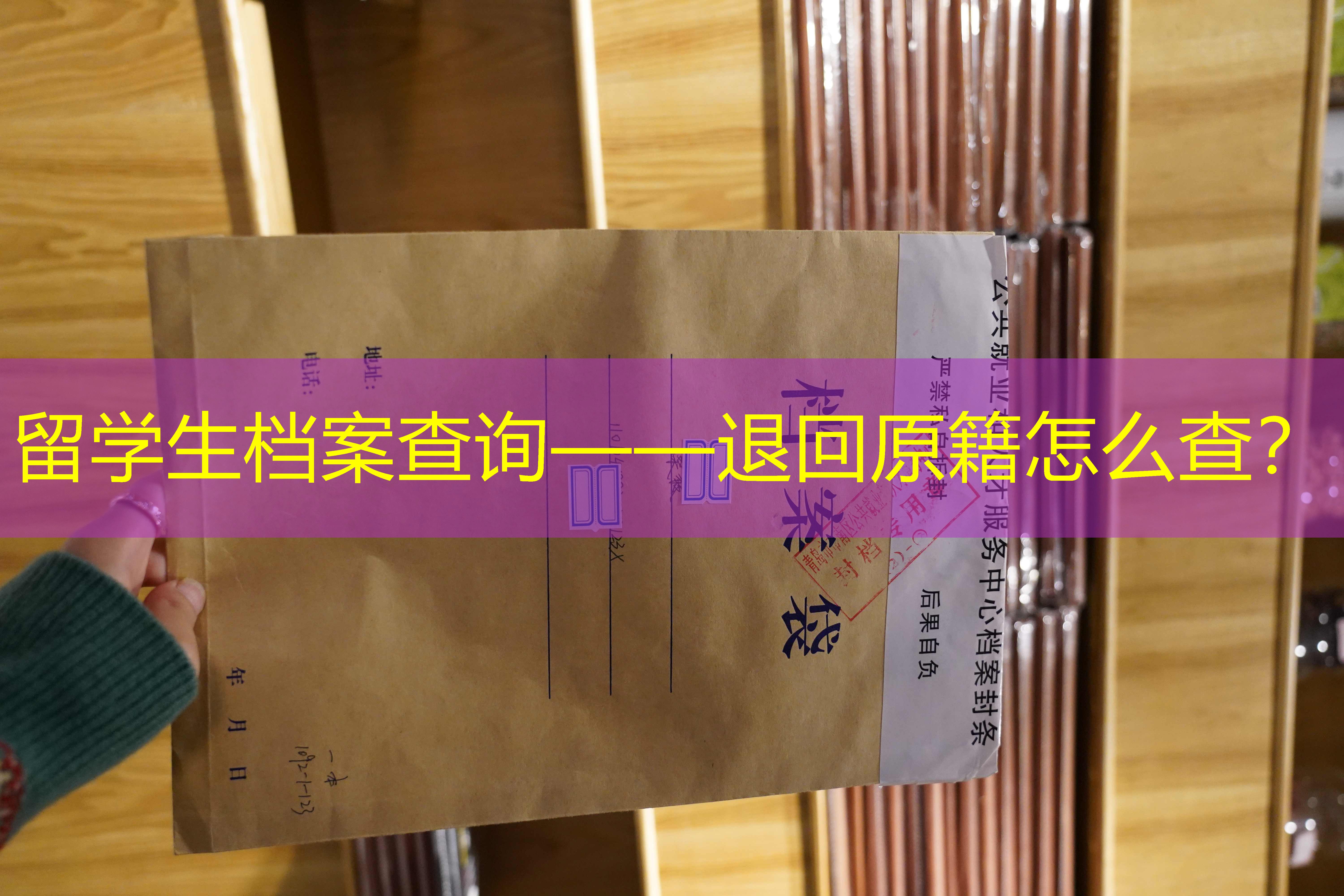 档案查询