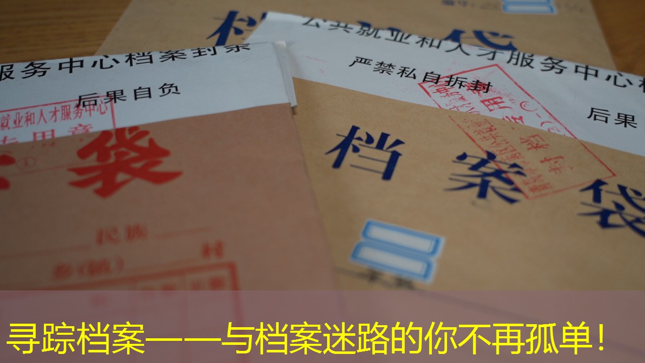 档案查询