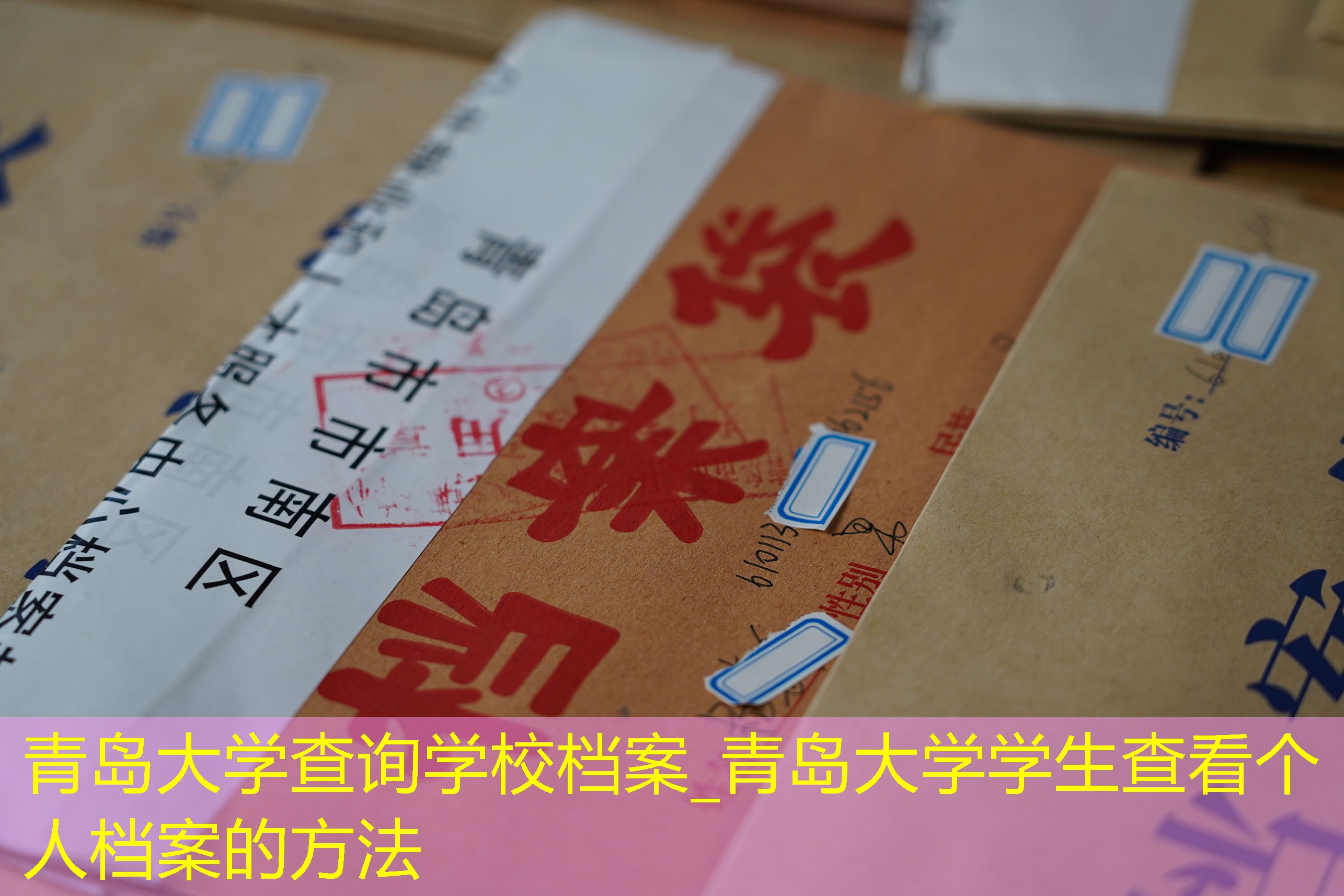档案查询