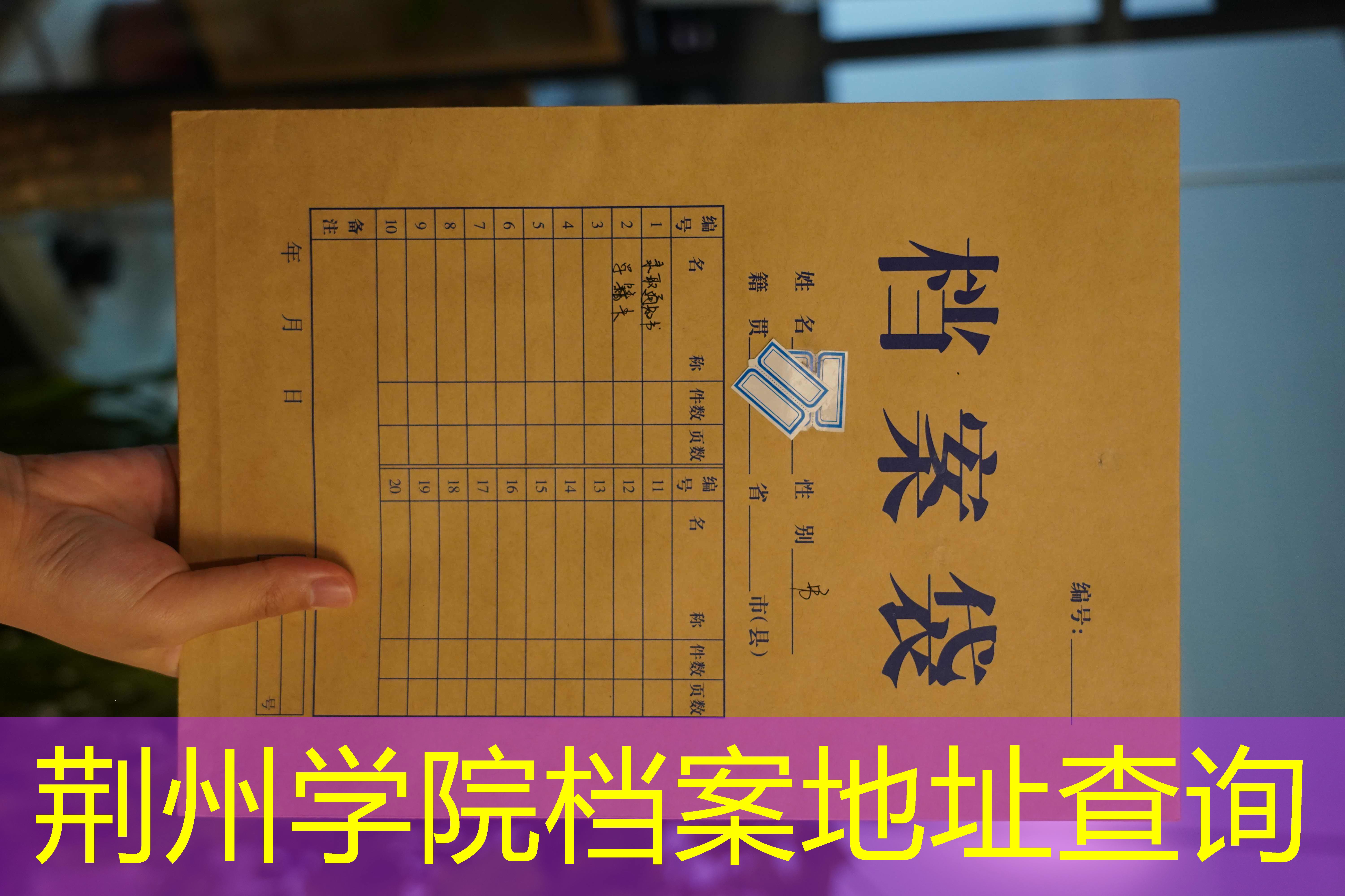 档案查询