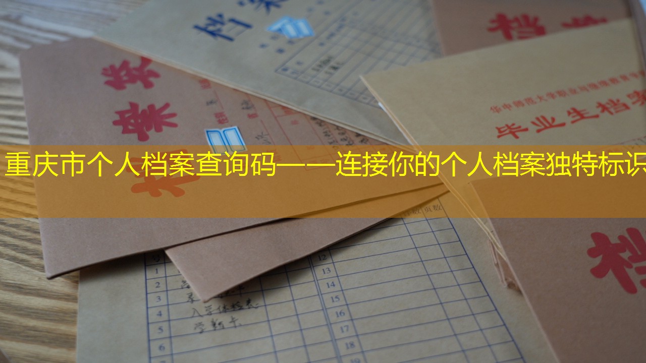 档案查询