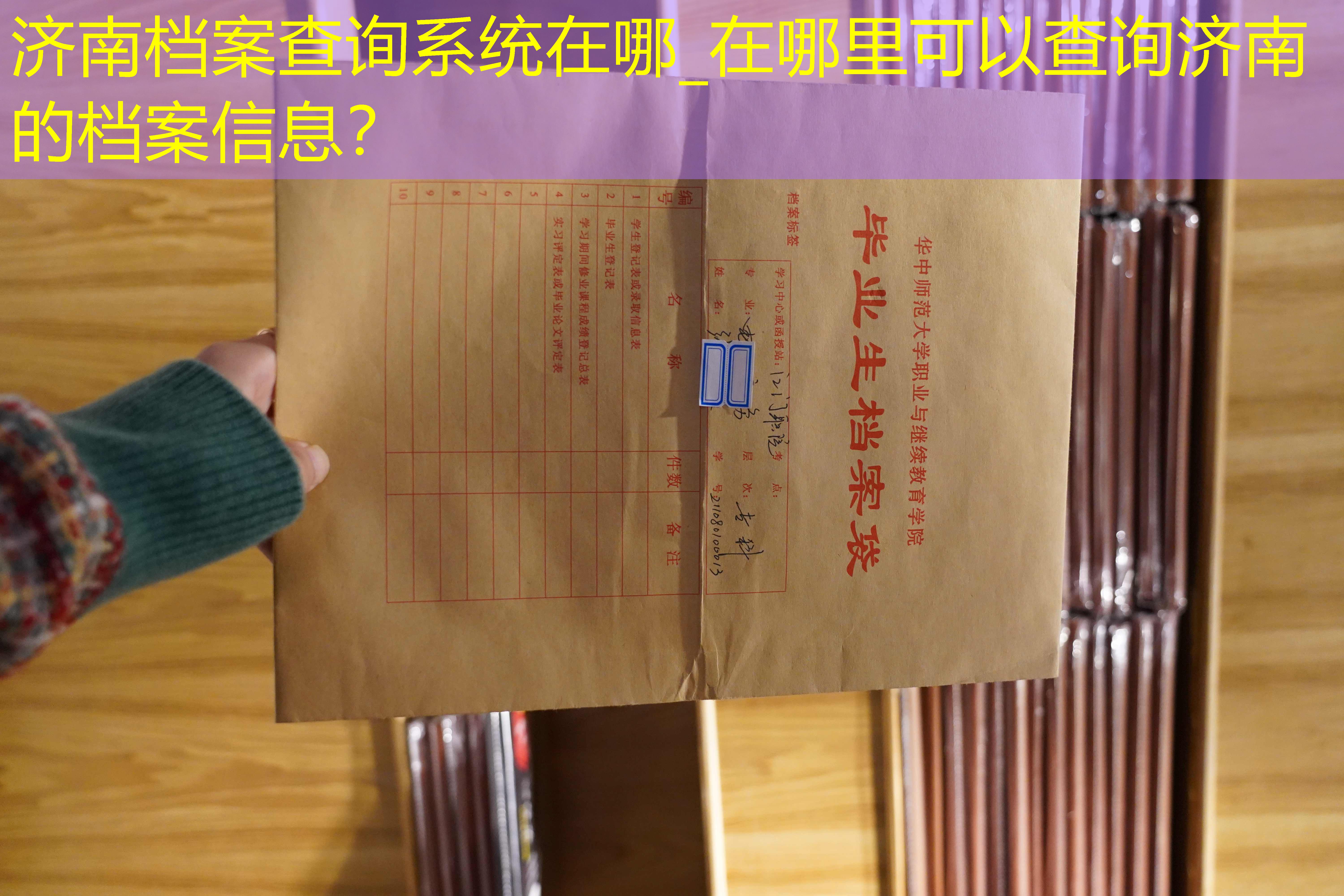 档案查询