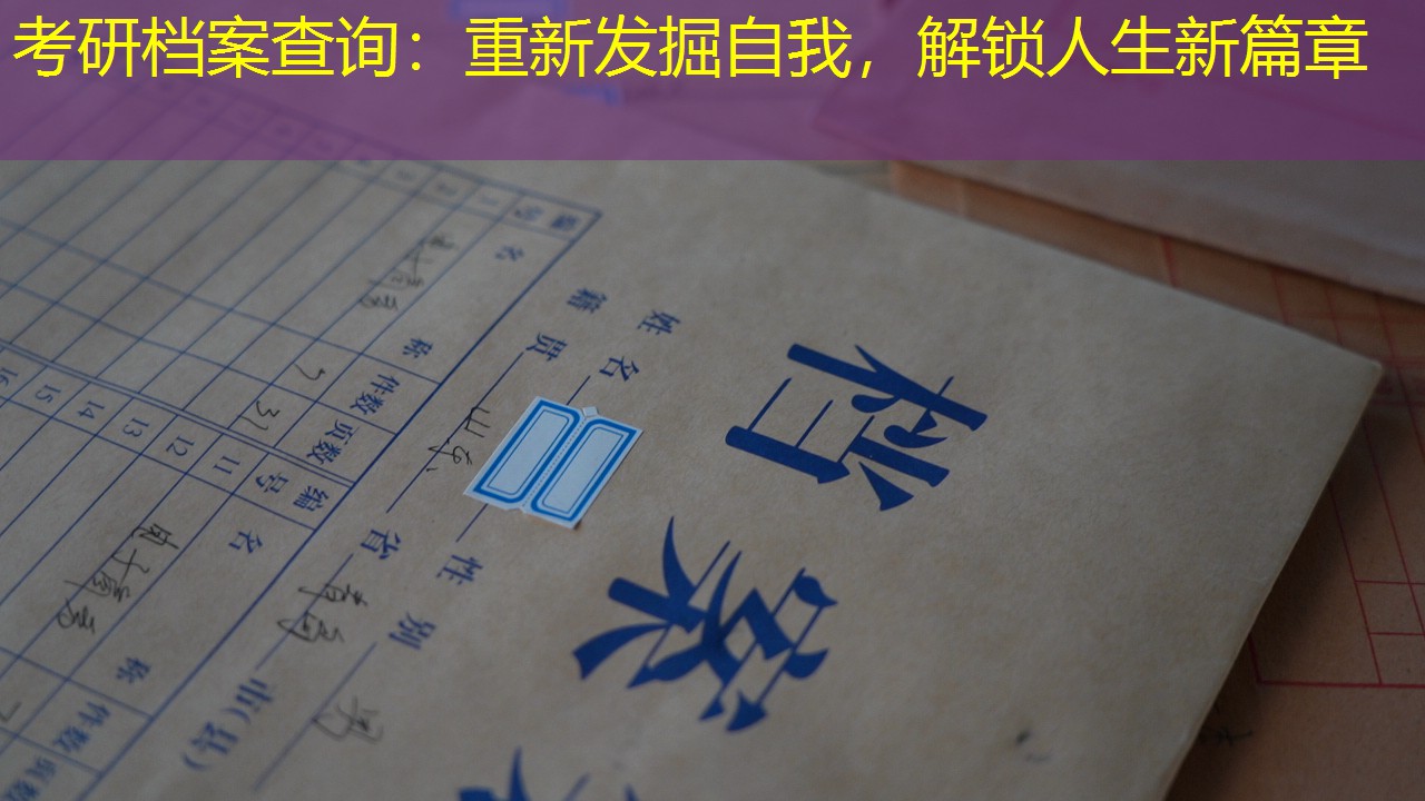 档案查询