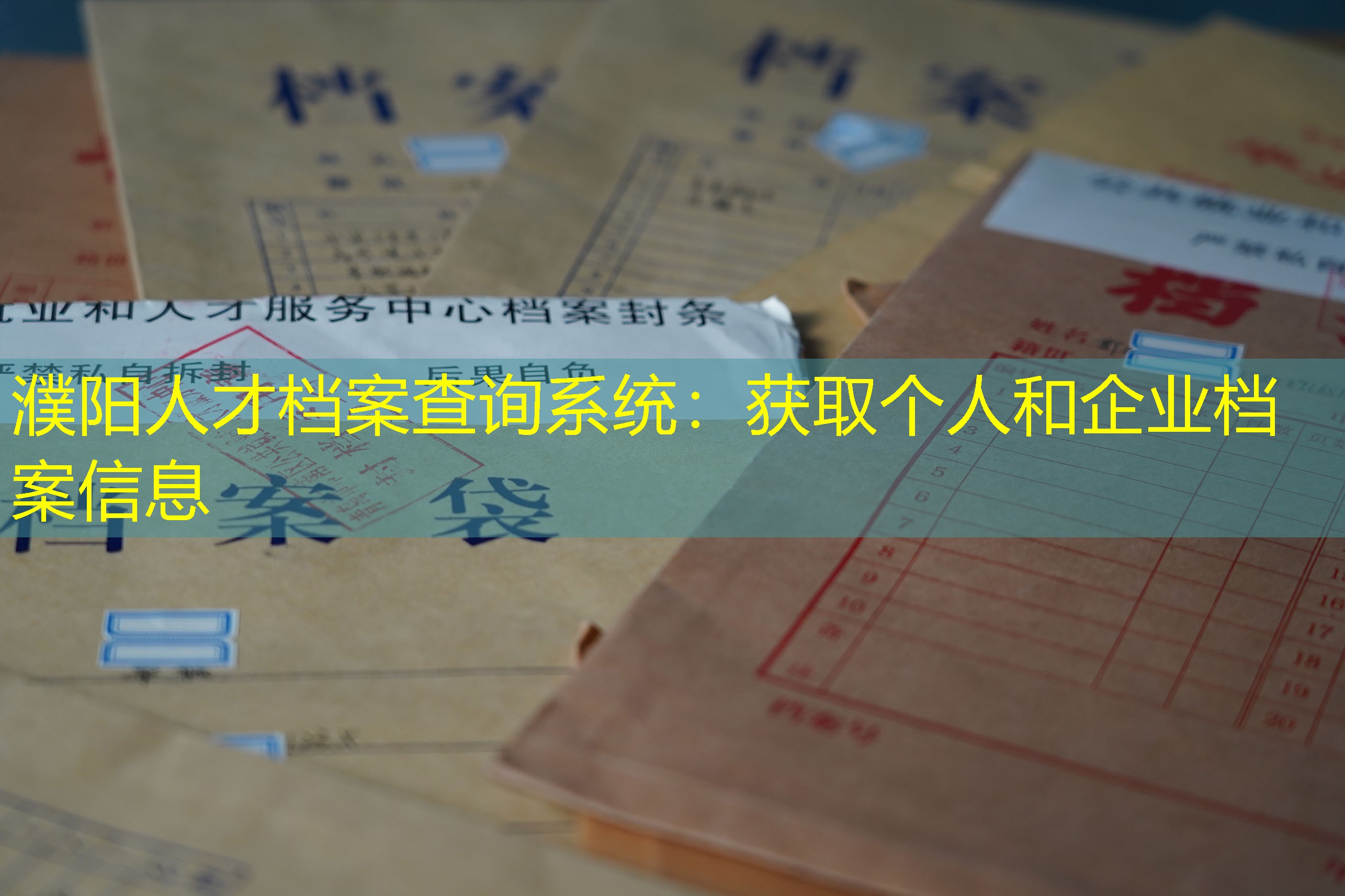 档案查询