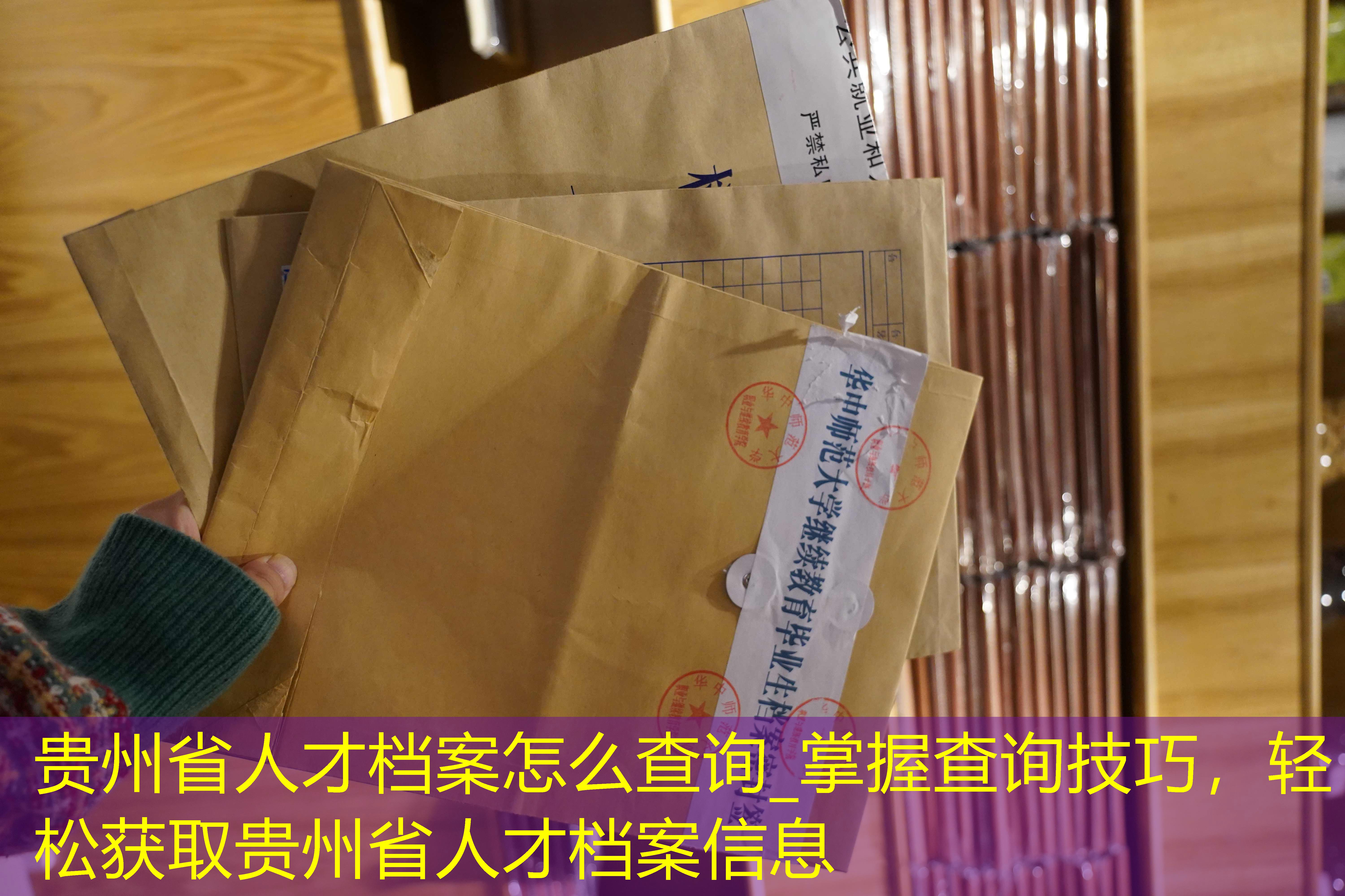 档案查询