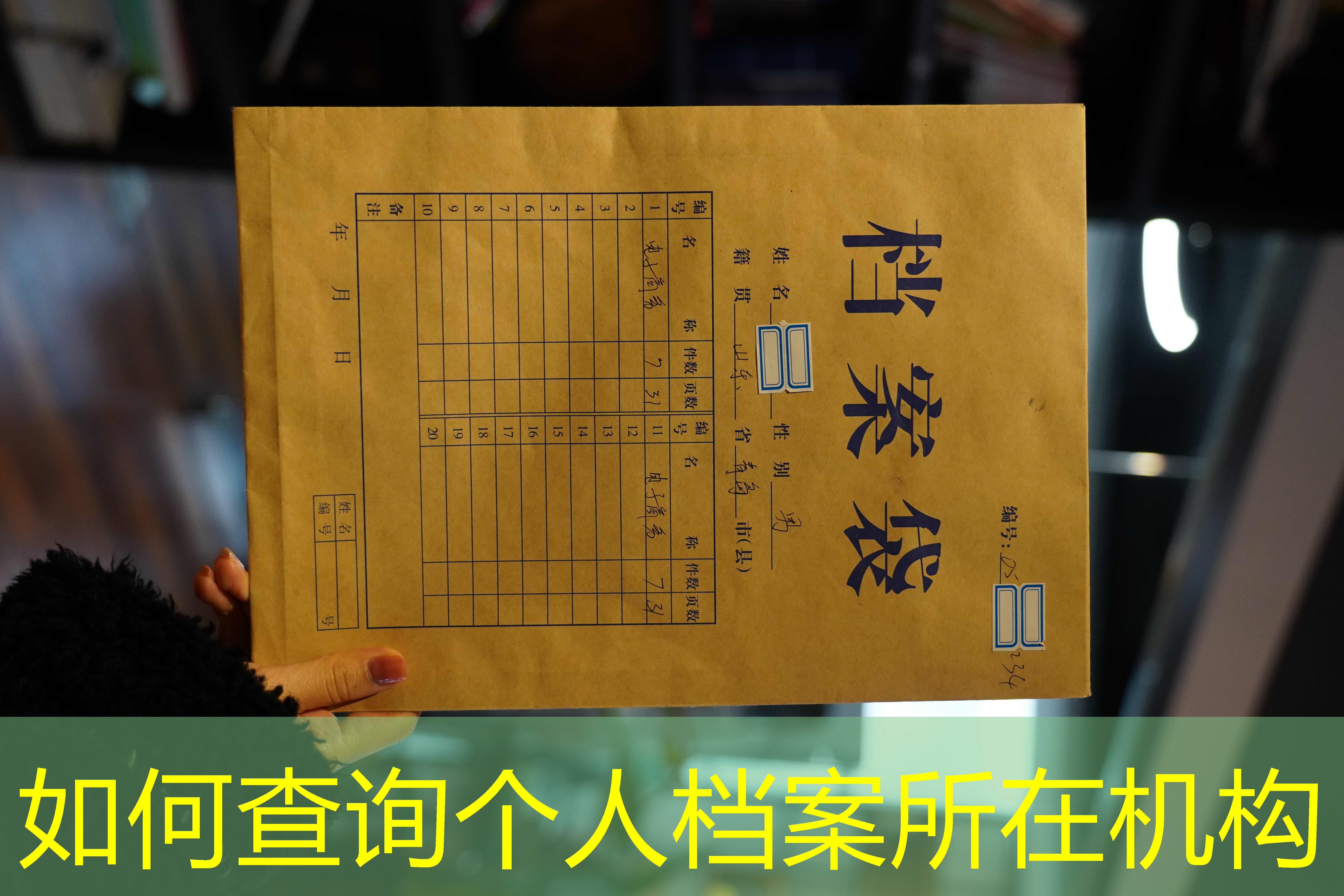档案查询