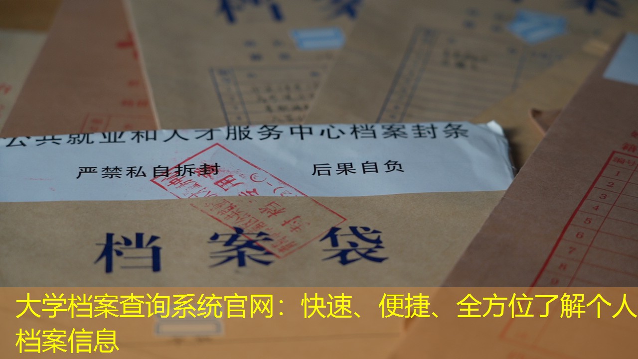 档案查询