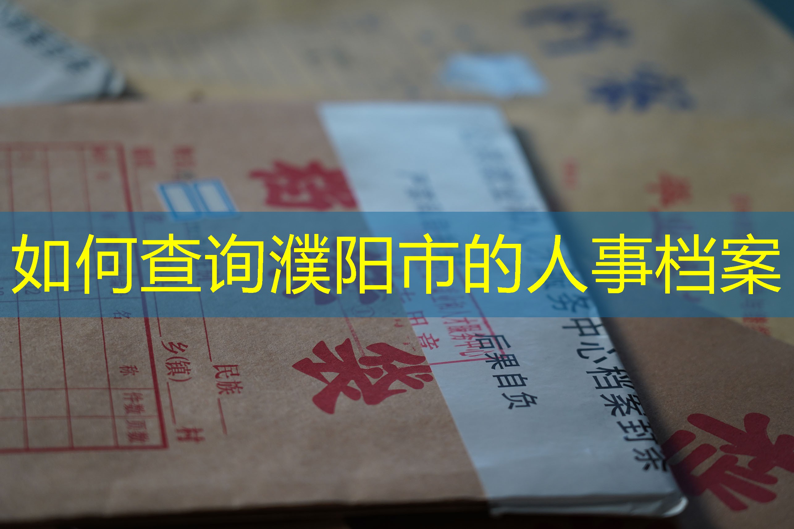 档案查询