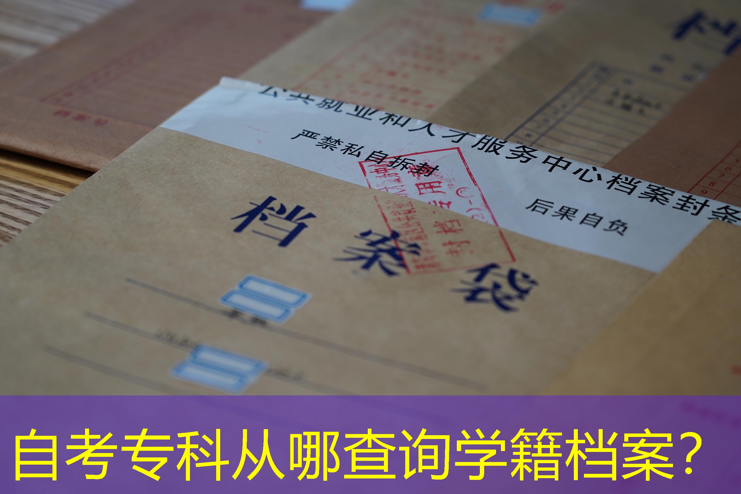 档案查询