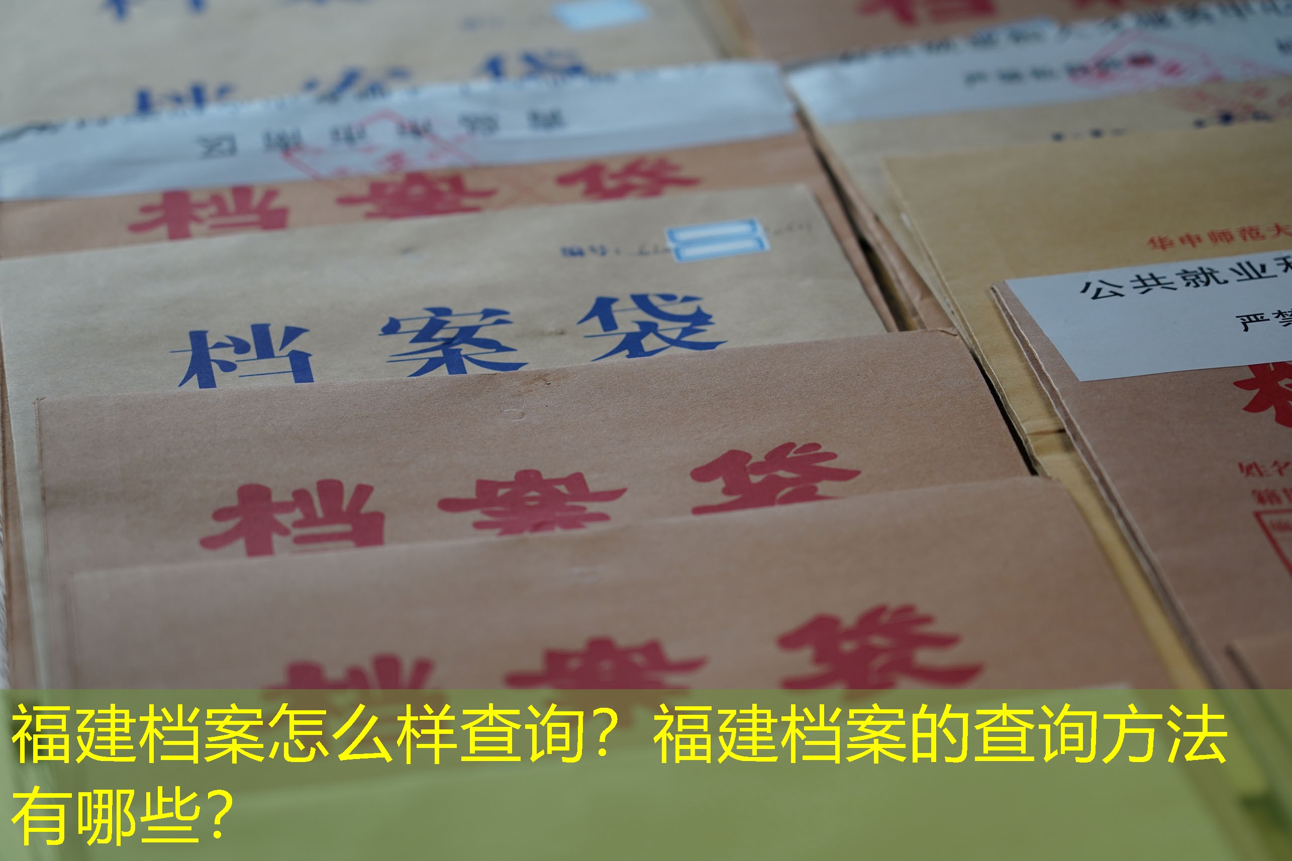 档案查询