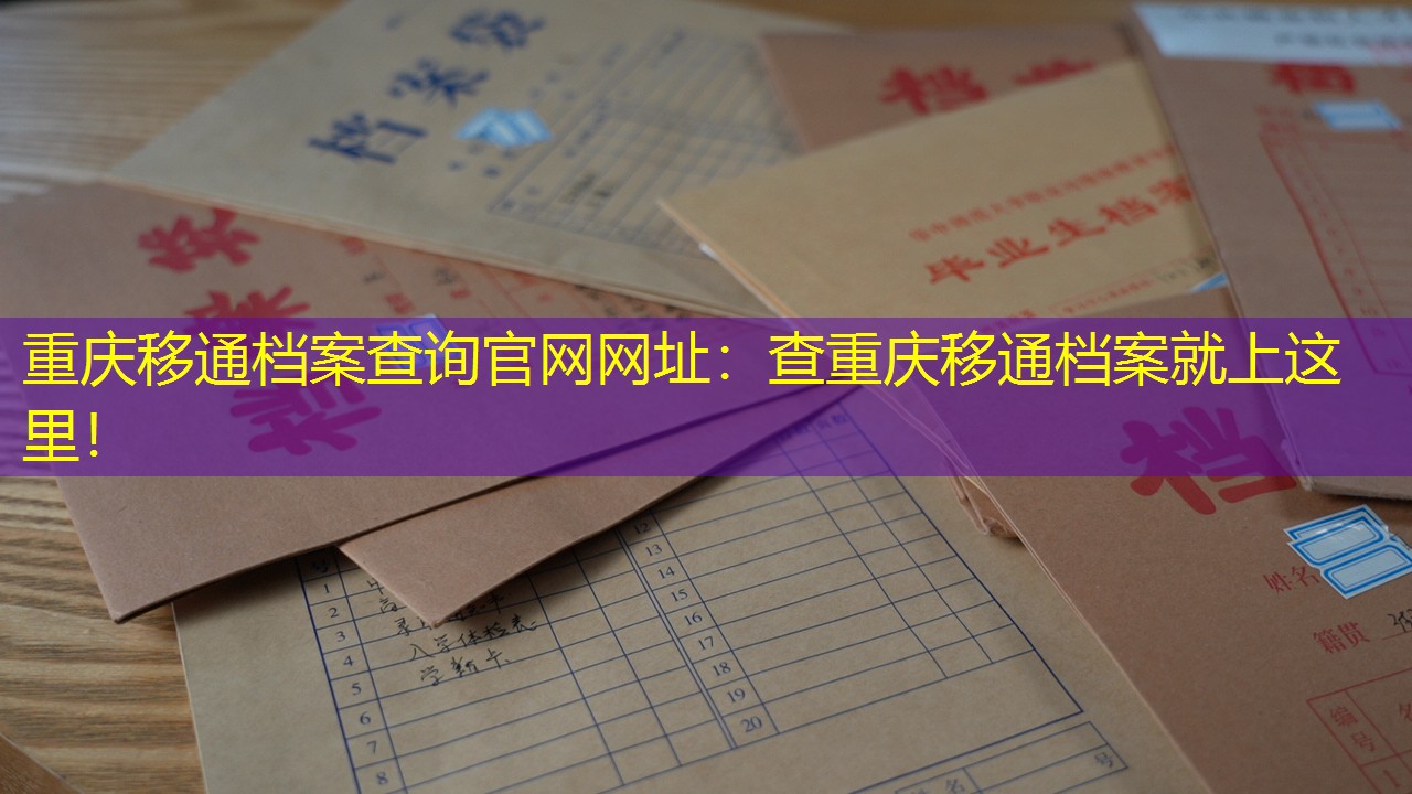 档案查询