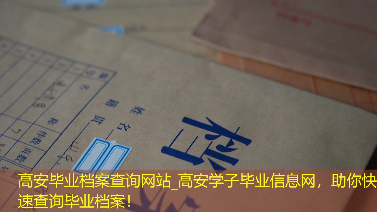 档案查询