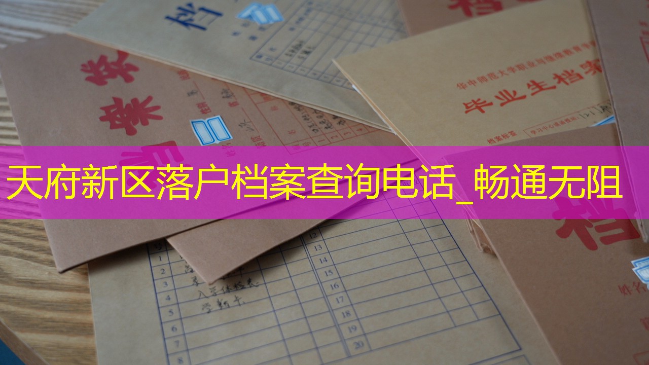 档案查询