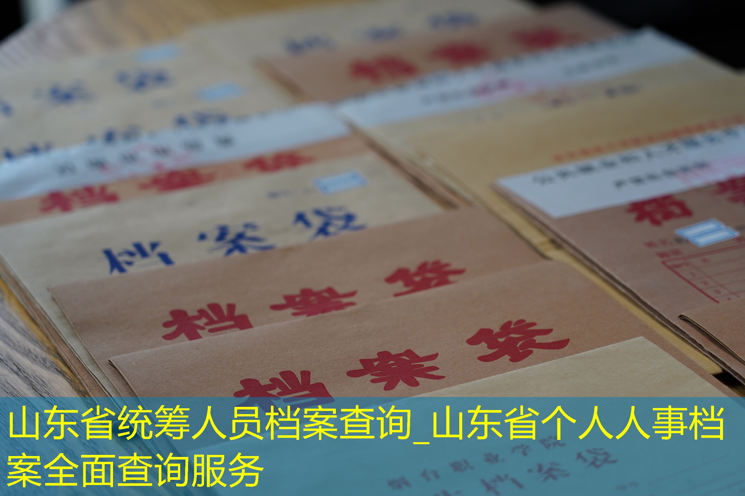 档案查询