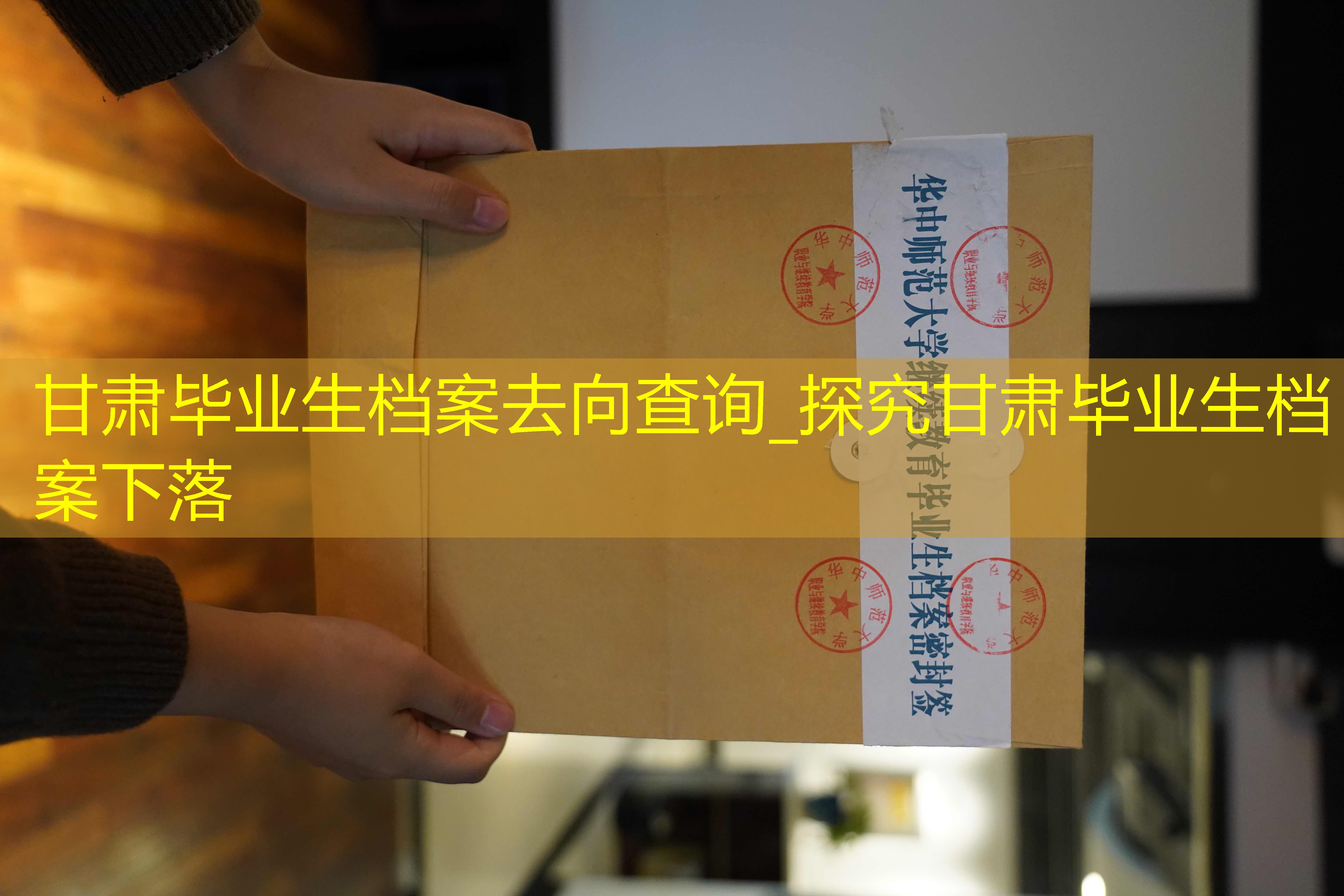 档案查询