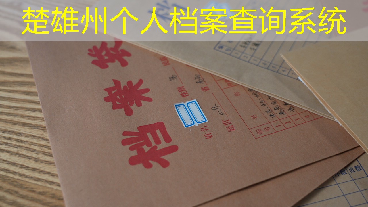 档案查询