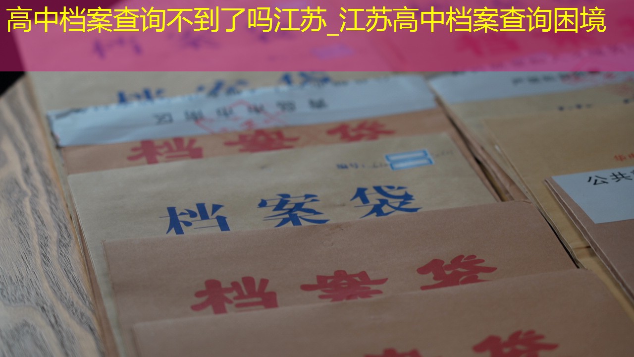 档案查询