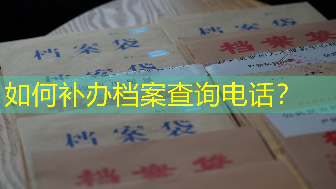 档案查询