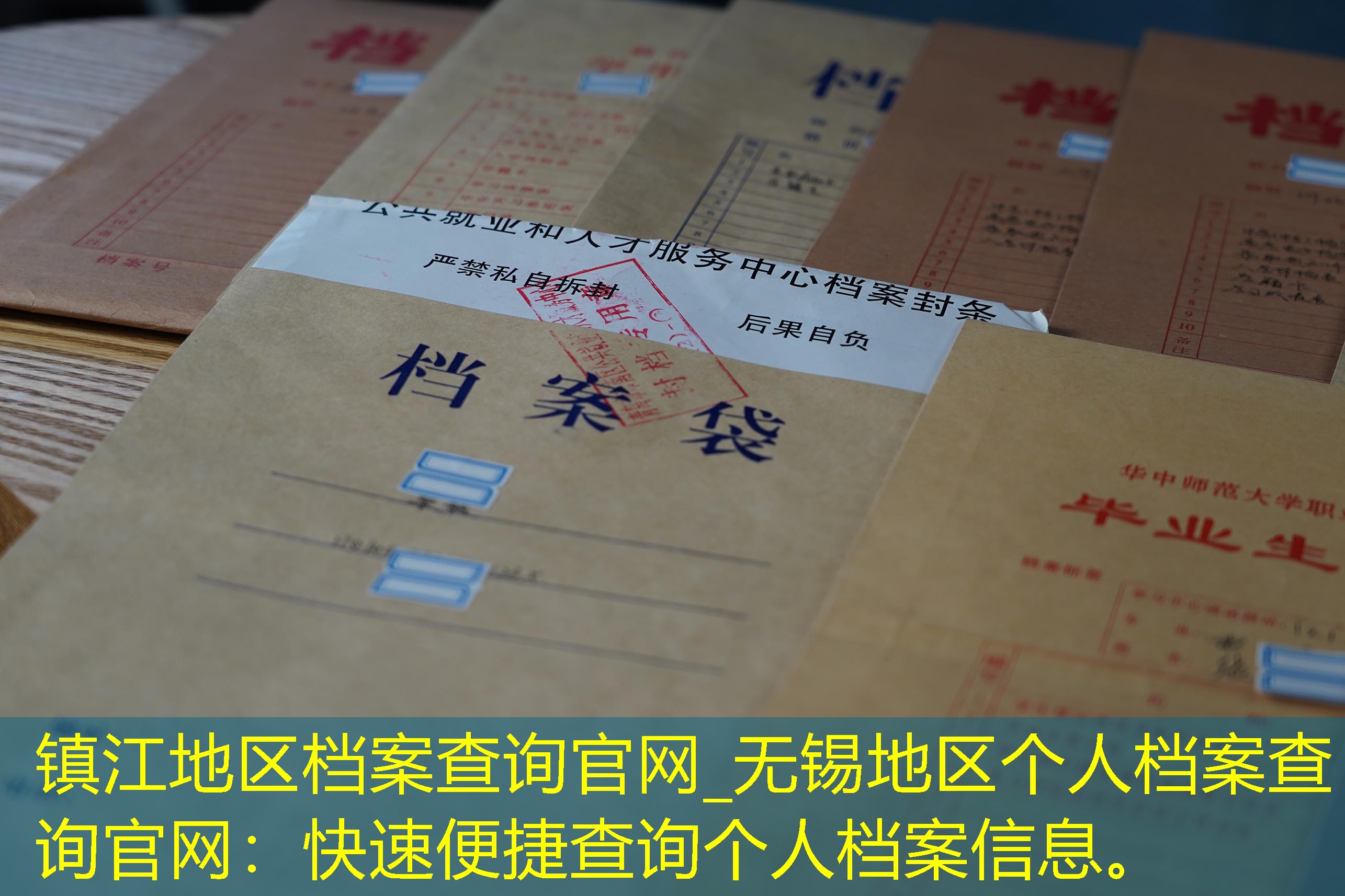 档案查询