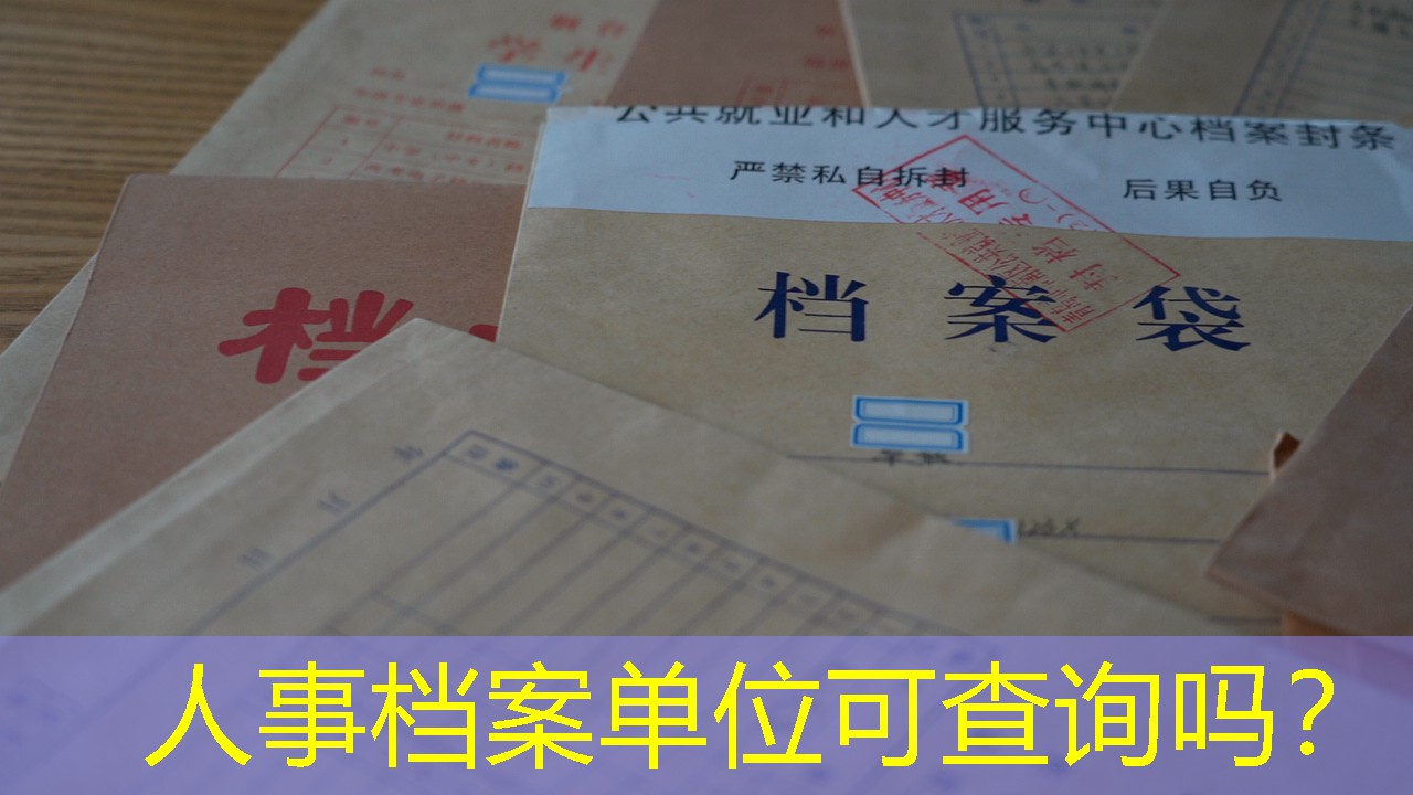 档案查询