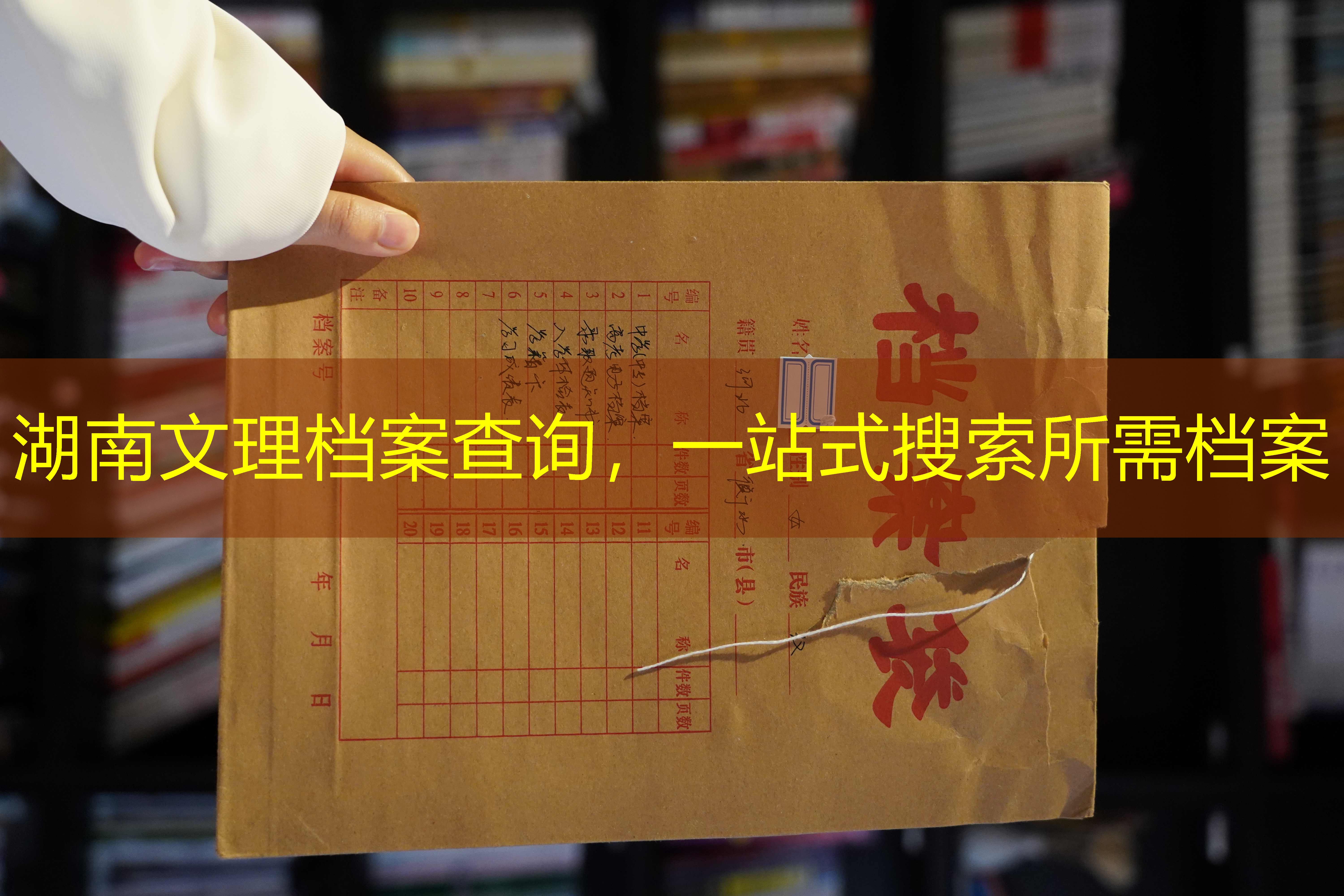 档案查询